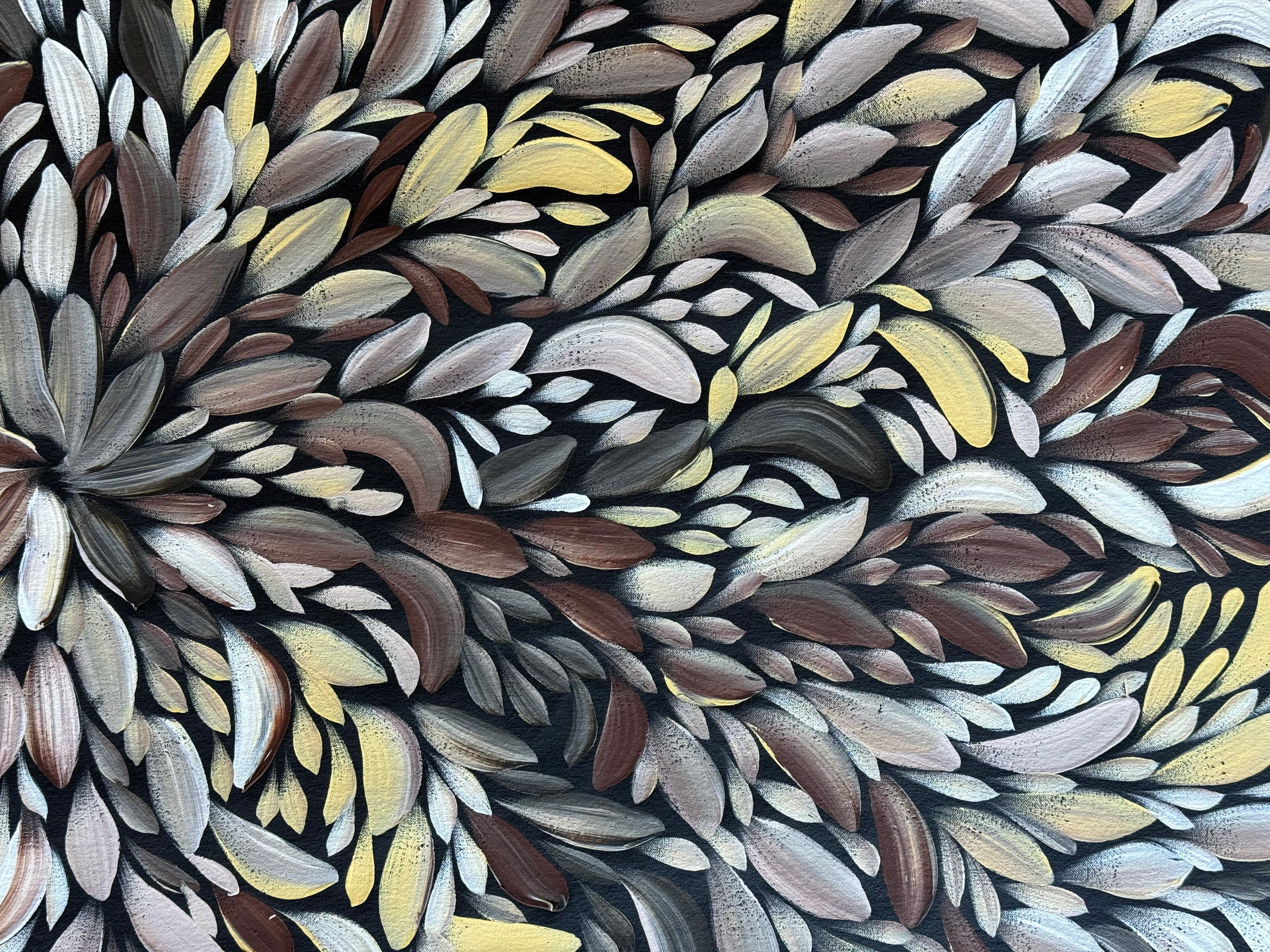 Louise Numina Napananka - Bush Medicine Leaves .80-4