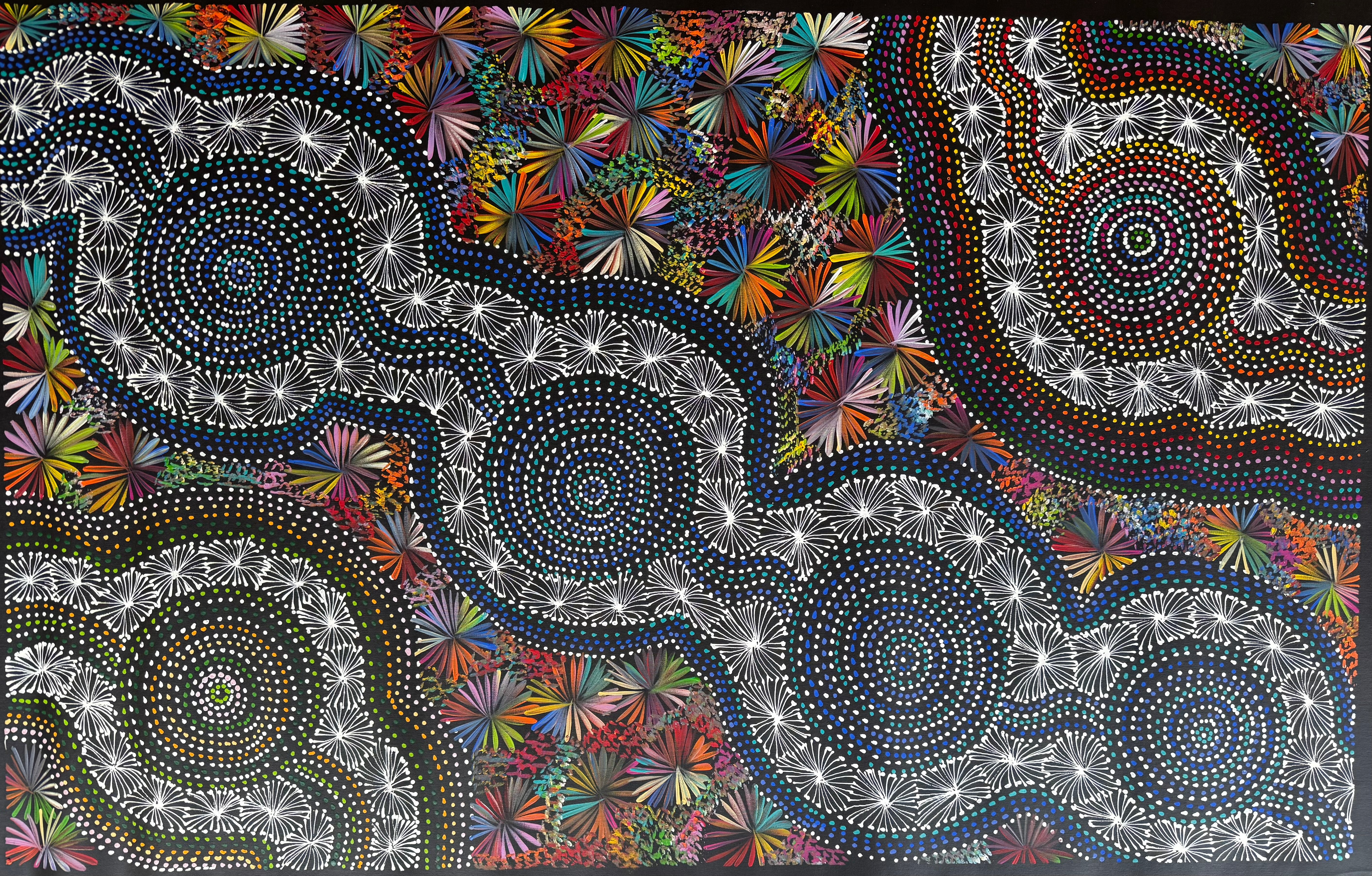 Selina Numina Kamprina - Seeds and Waterholes .92-24