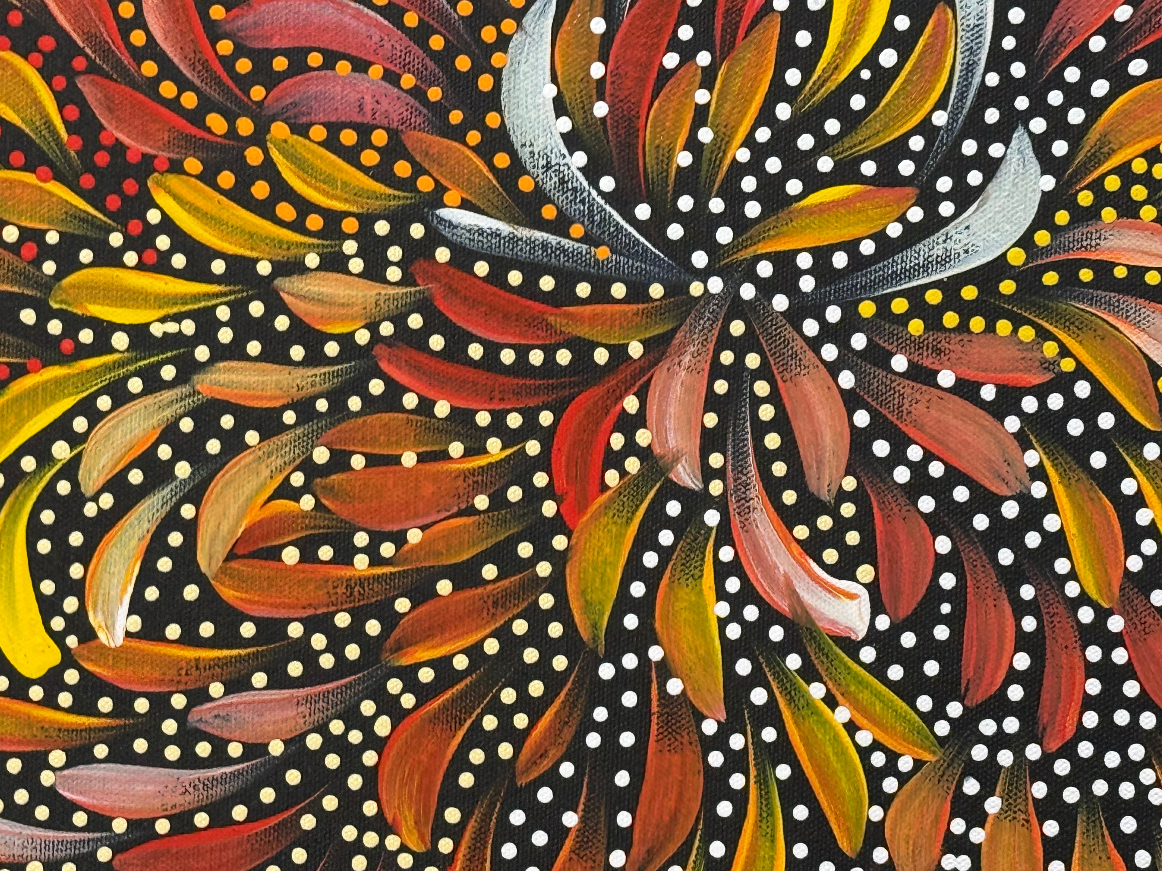 Caroline Numina - Bush Medicine Leaves and Seeds .04-23