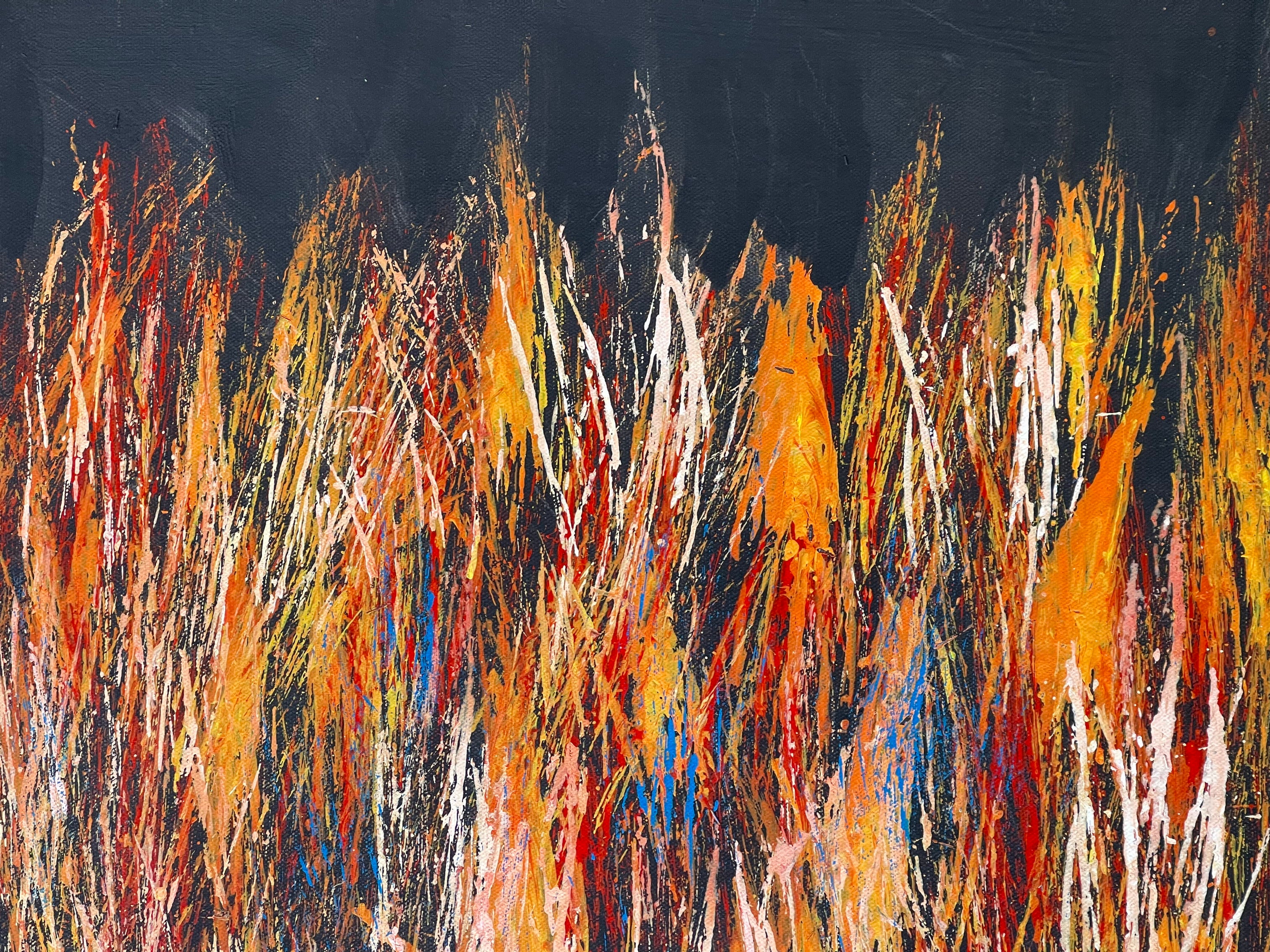 Reggie Sultan - 90x70cm - Bushfire Dreaming .55-2