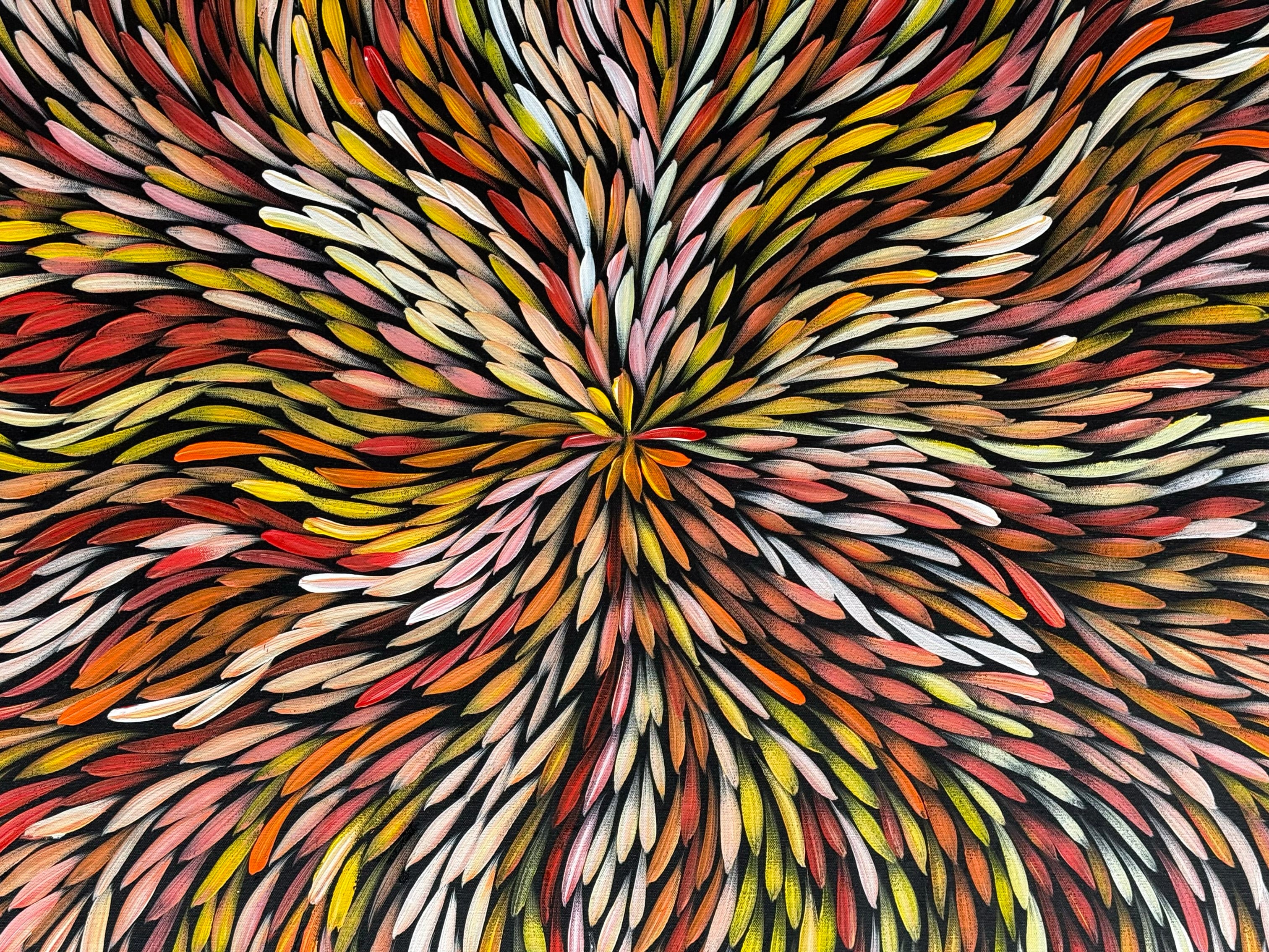 Sharon Numina - Bush Medicine Leaves .50-6