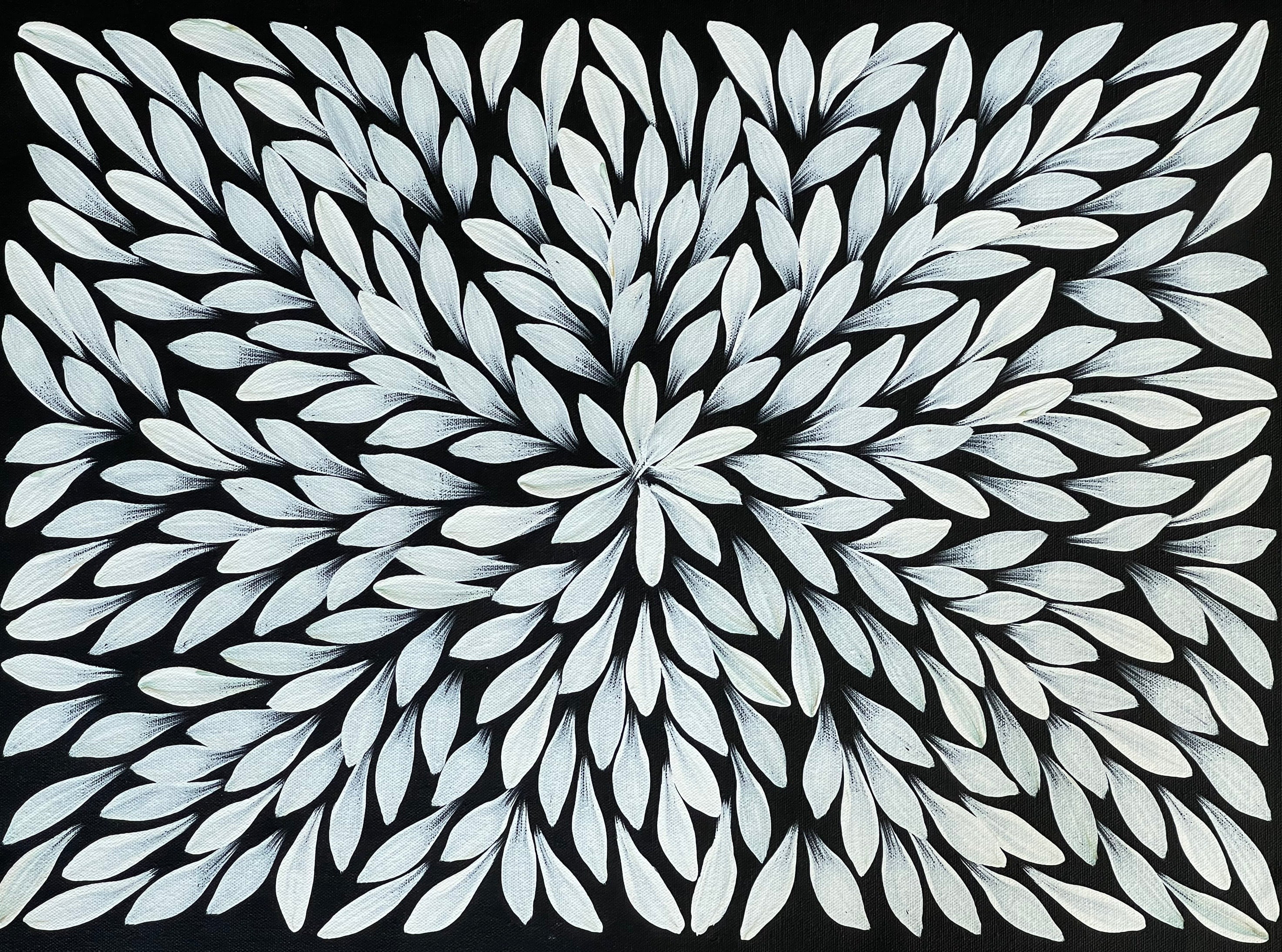 Jacinta Numina - Bush Medicine Leaves - 38x52cm .75-40