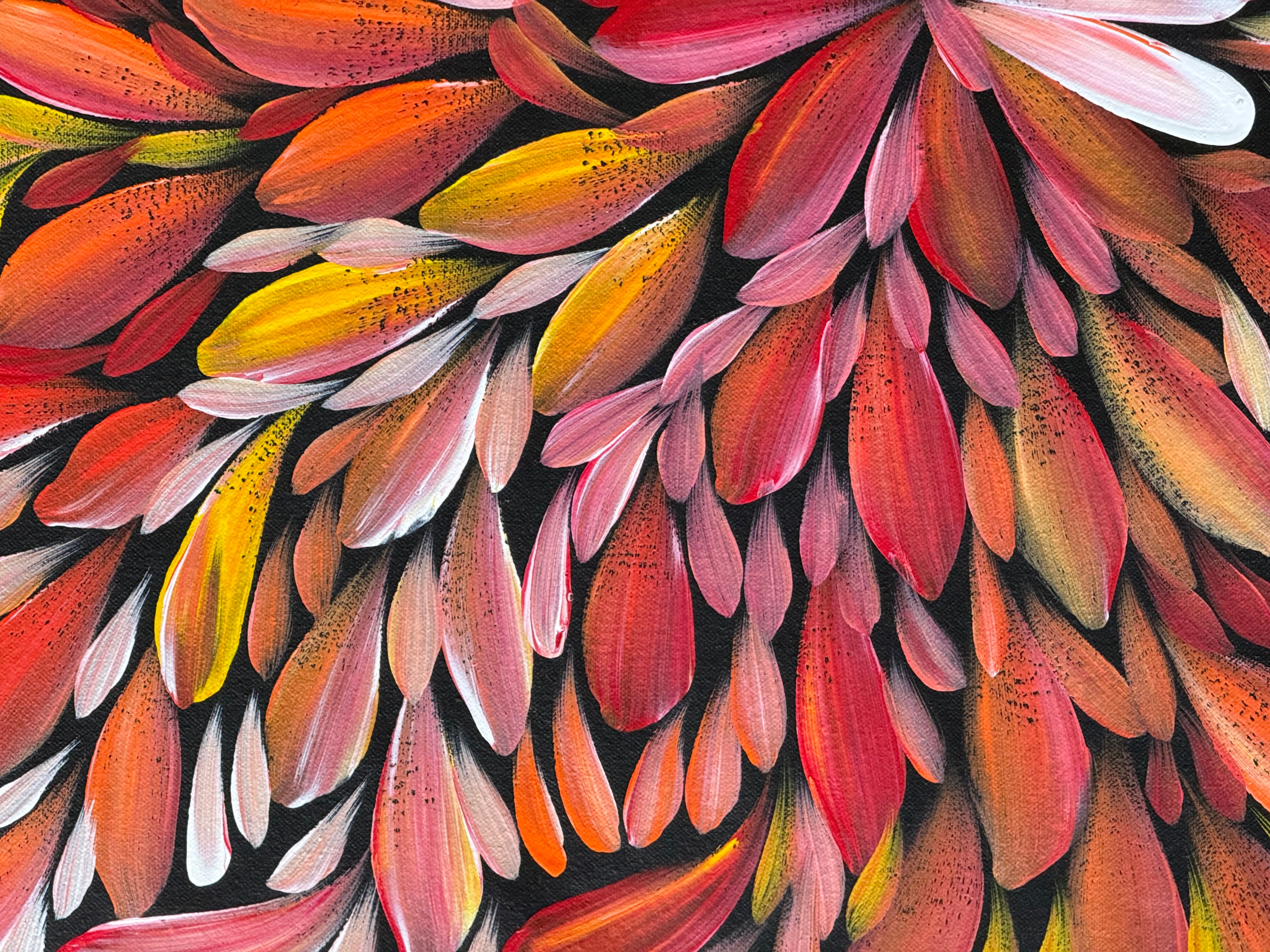 Louise Numina Napananka - Bush Medicine Leaves .16-62