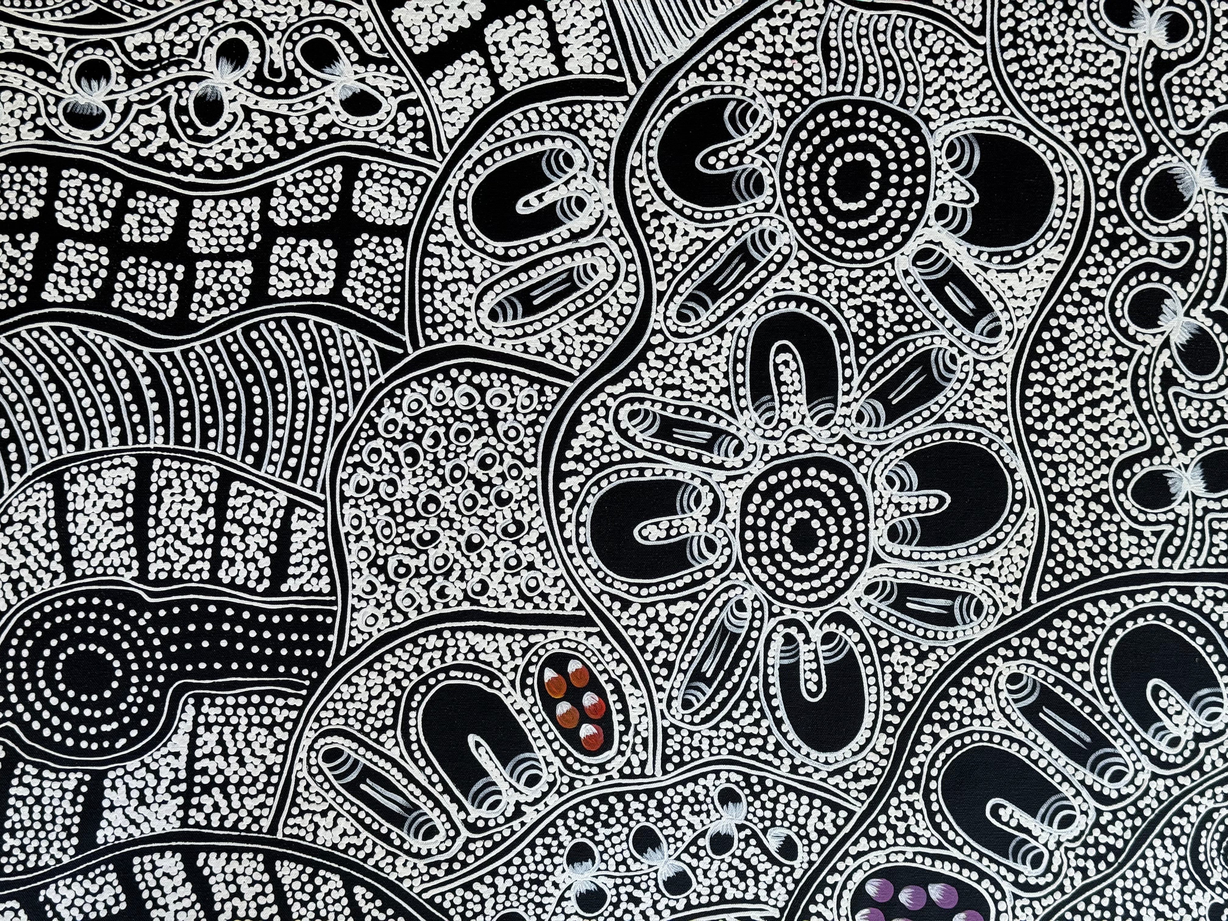 Lanita Numina - Women Collect Bushplums, Bushberries .97-4