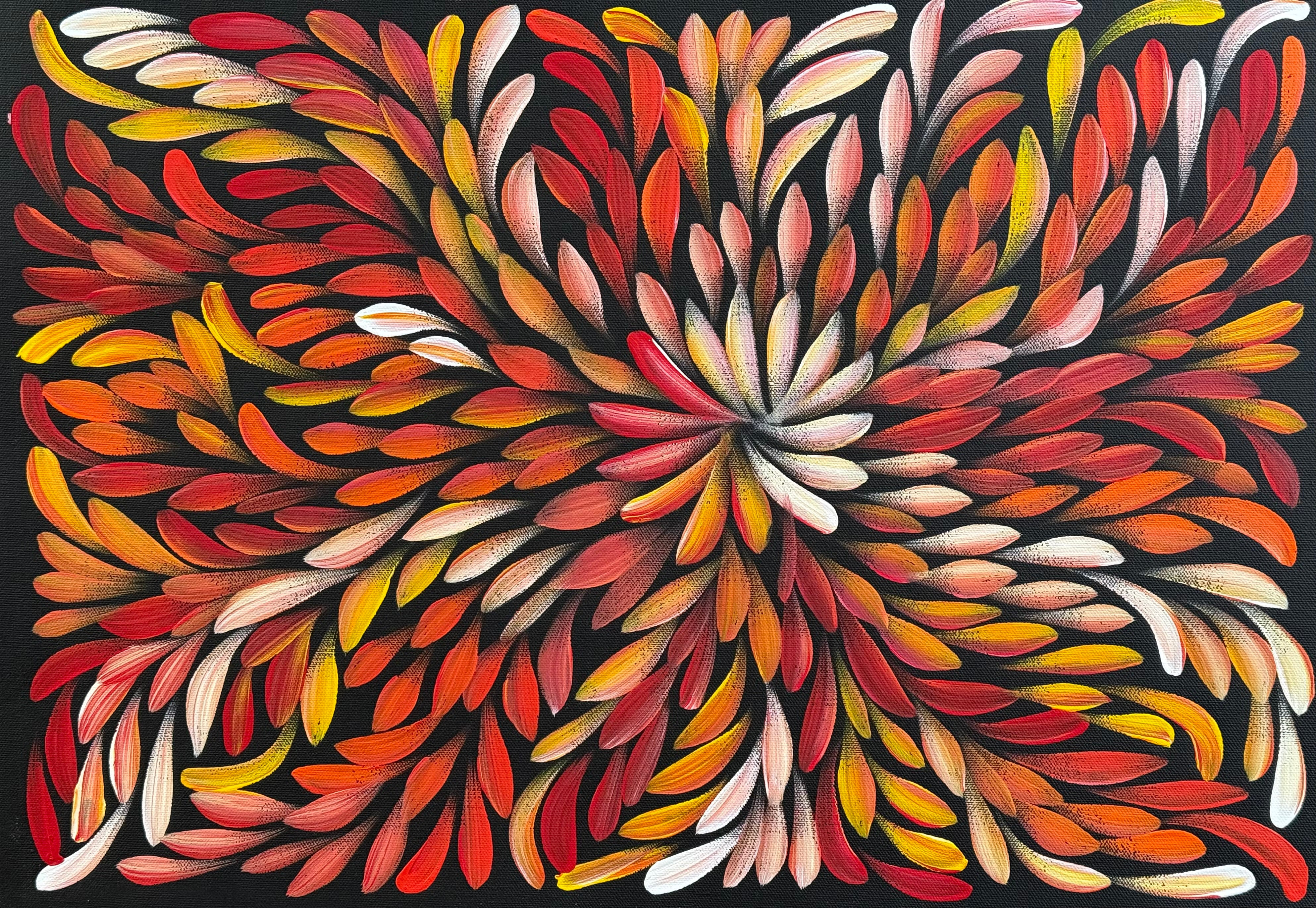 Louise Numina Napananka - Bush Medicine Leaves .60-14