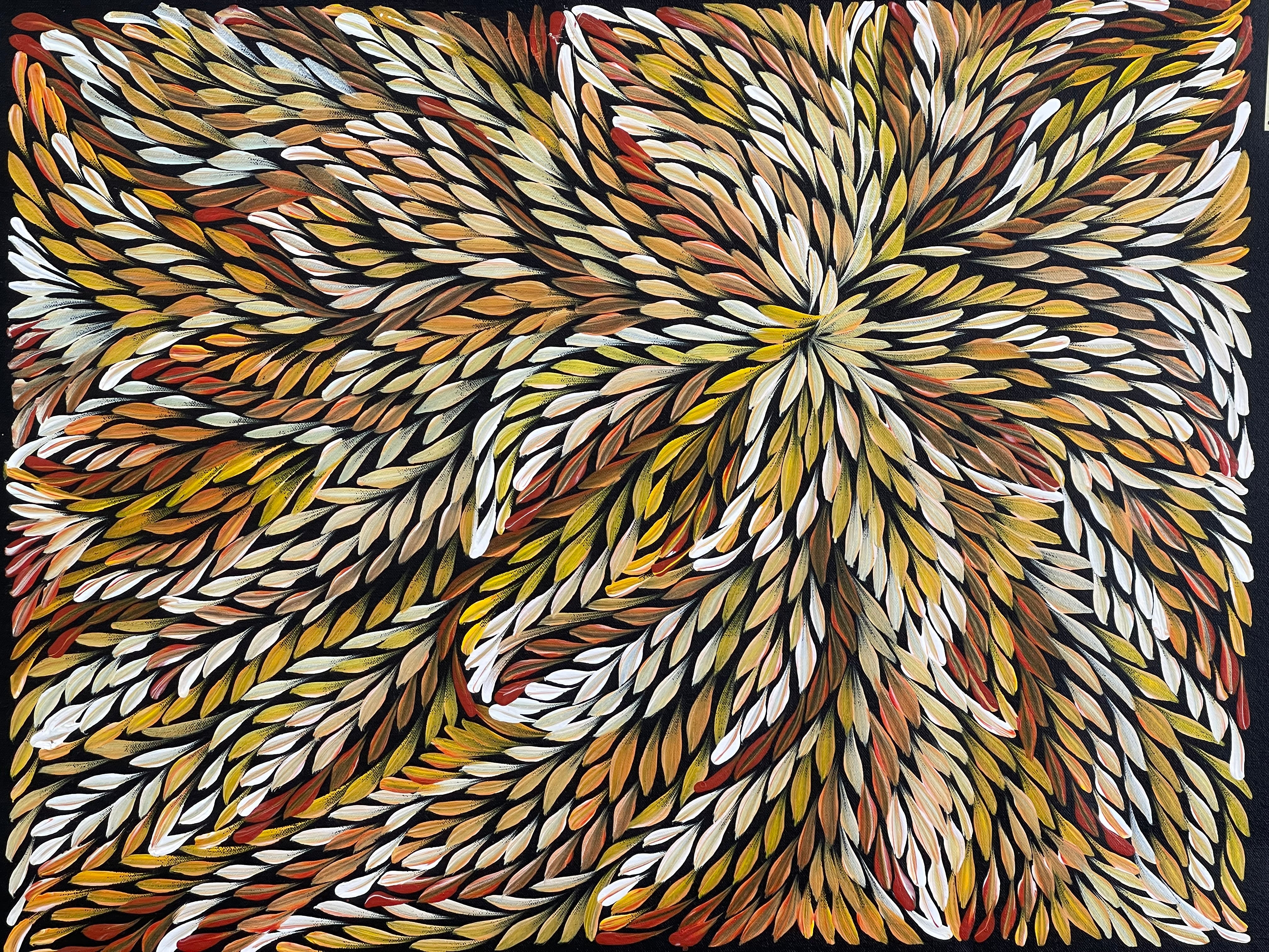 Caroline Numina - Bush Medicine Leaves - 47x62cm .62-17