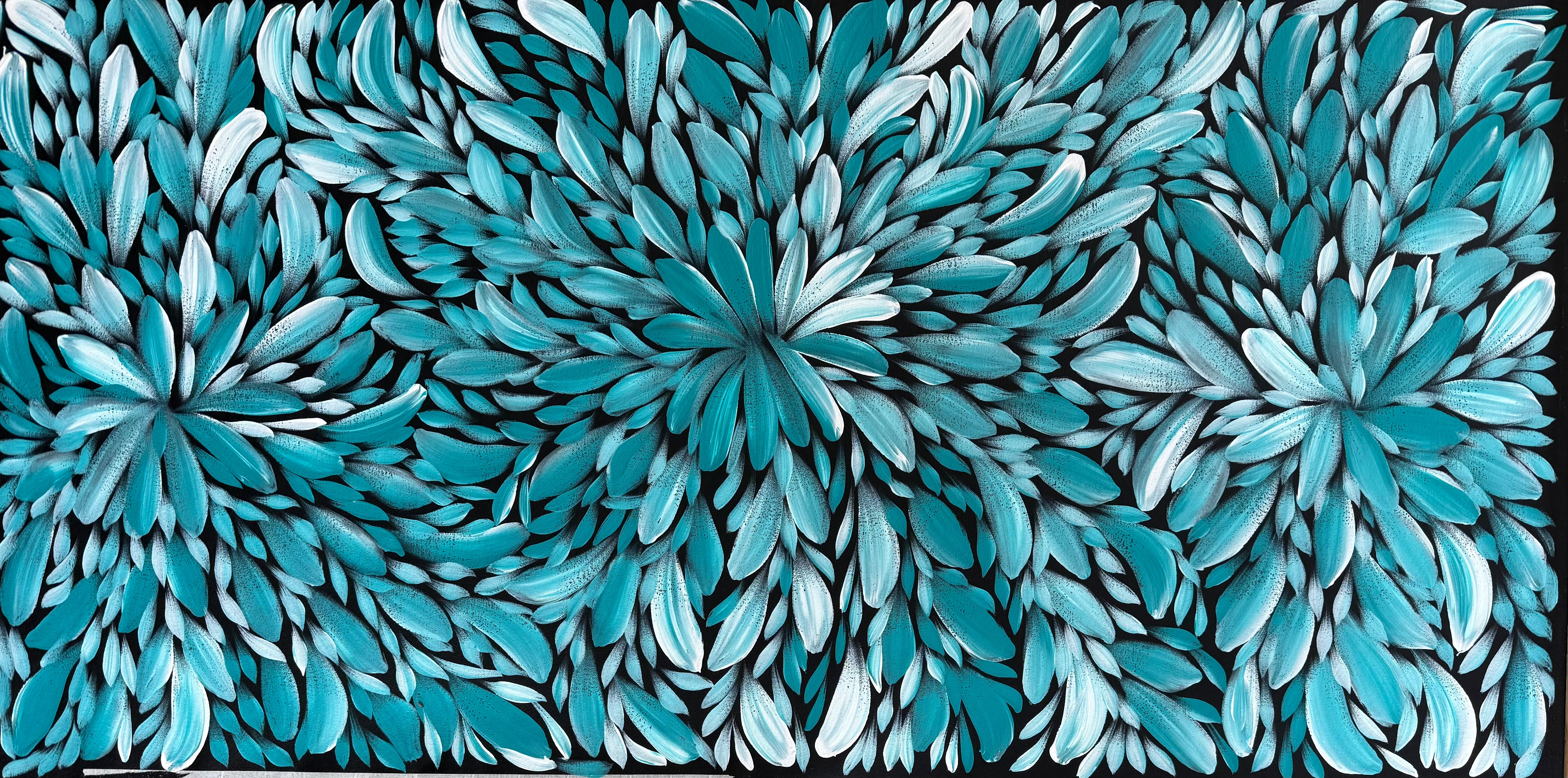 Louise Numina Napananka - Bush Medicine Leaves .49-35