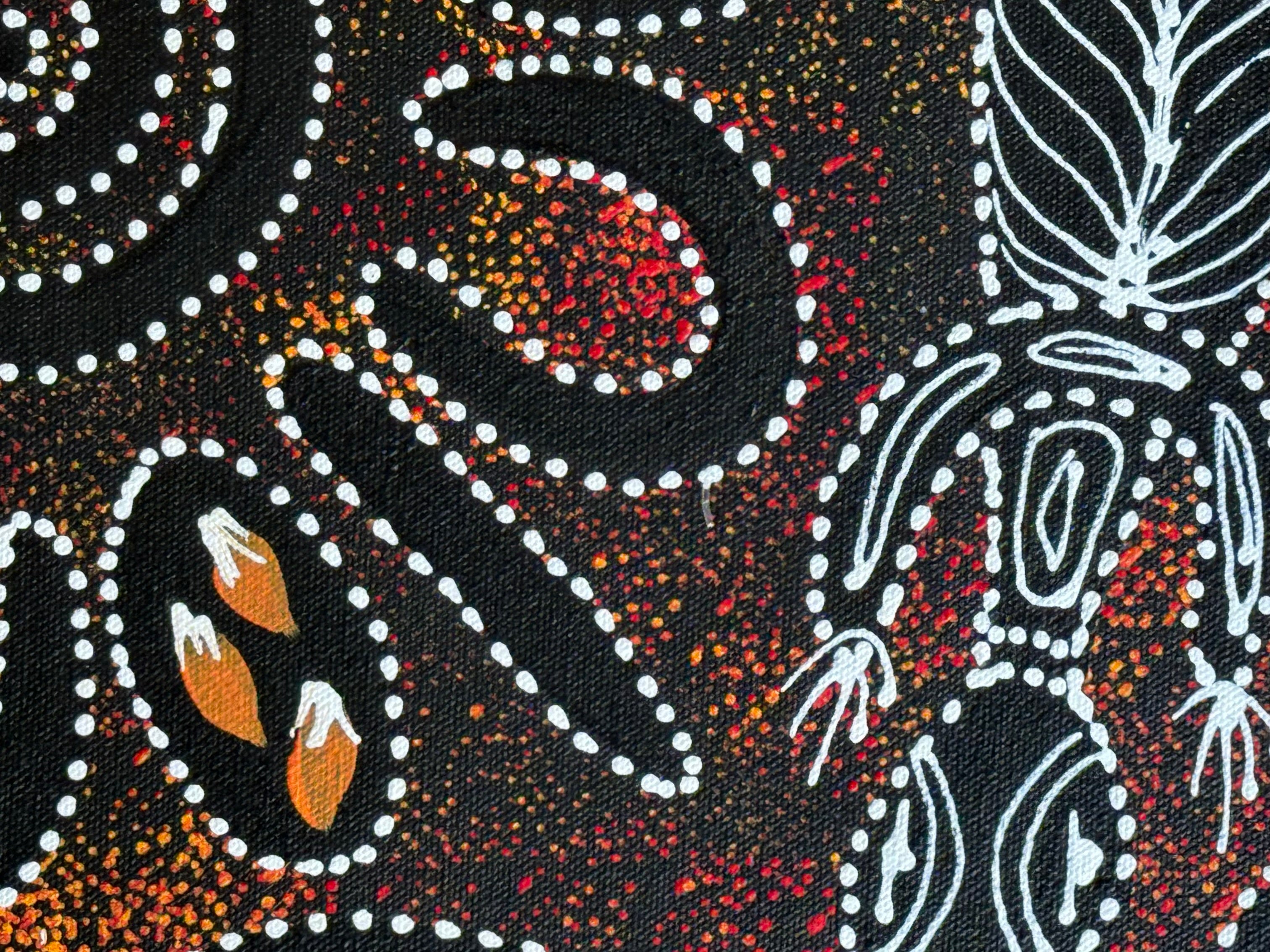 Sharon Numina - Bush Tucker .50-20