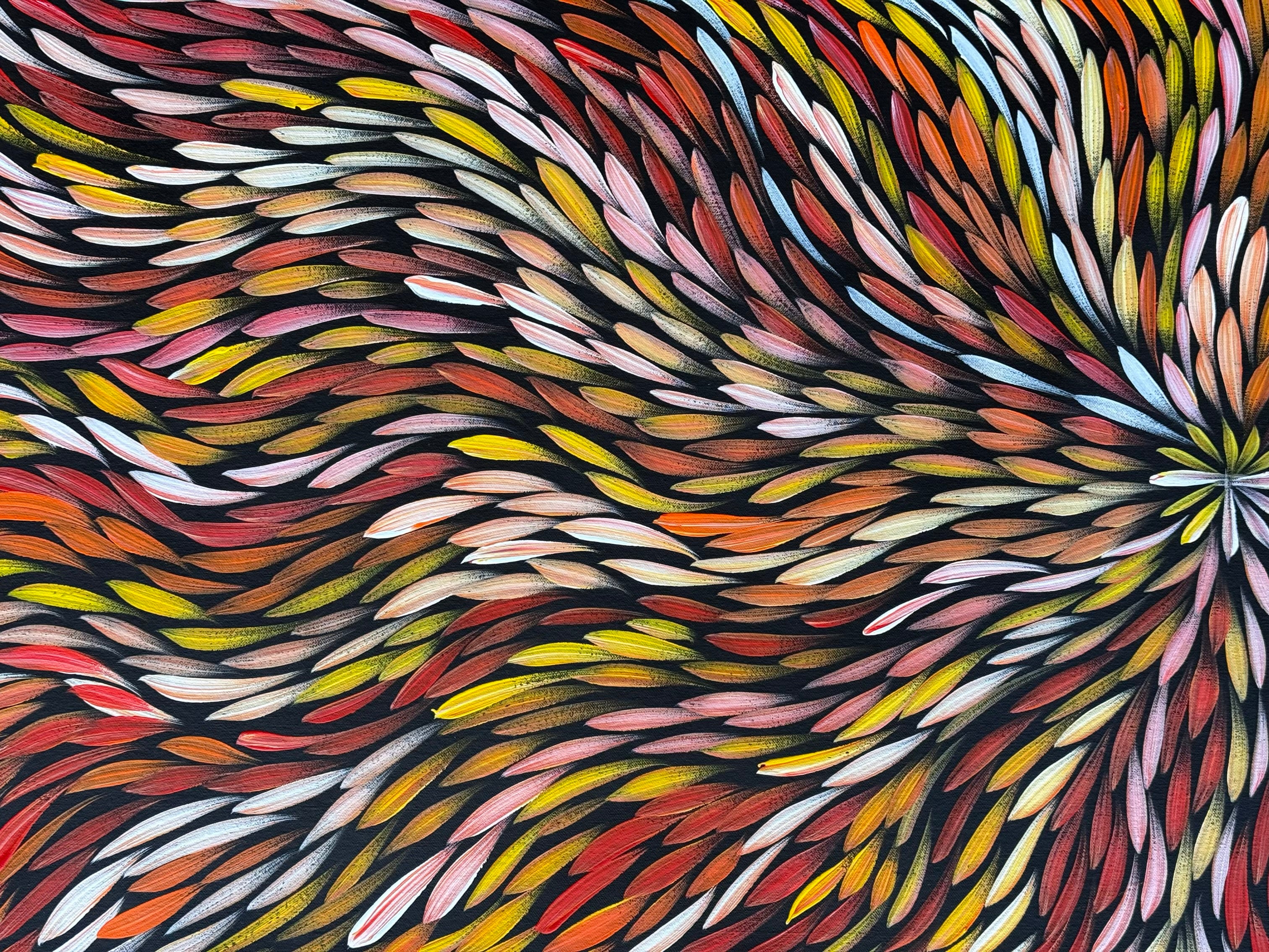 Sharon Numina - Bush Medicine Leaves .50-16