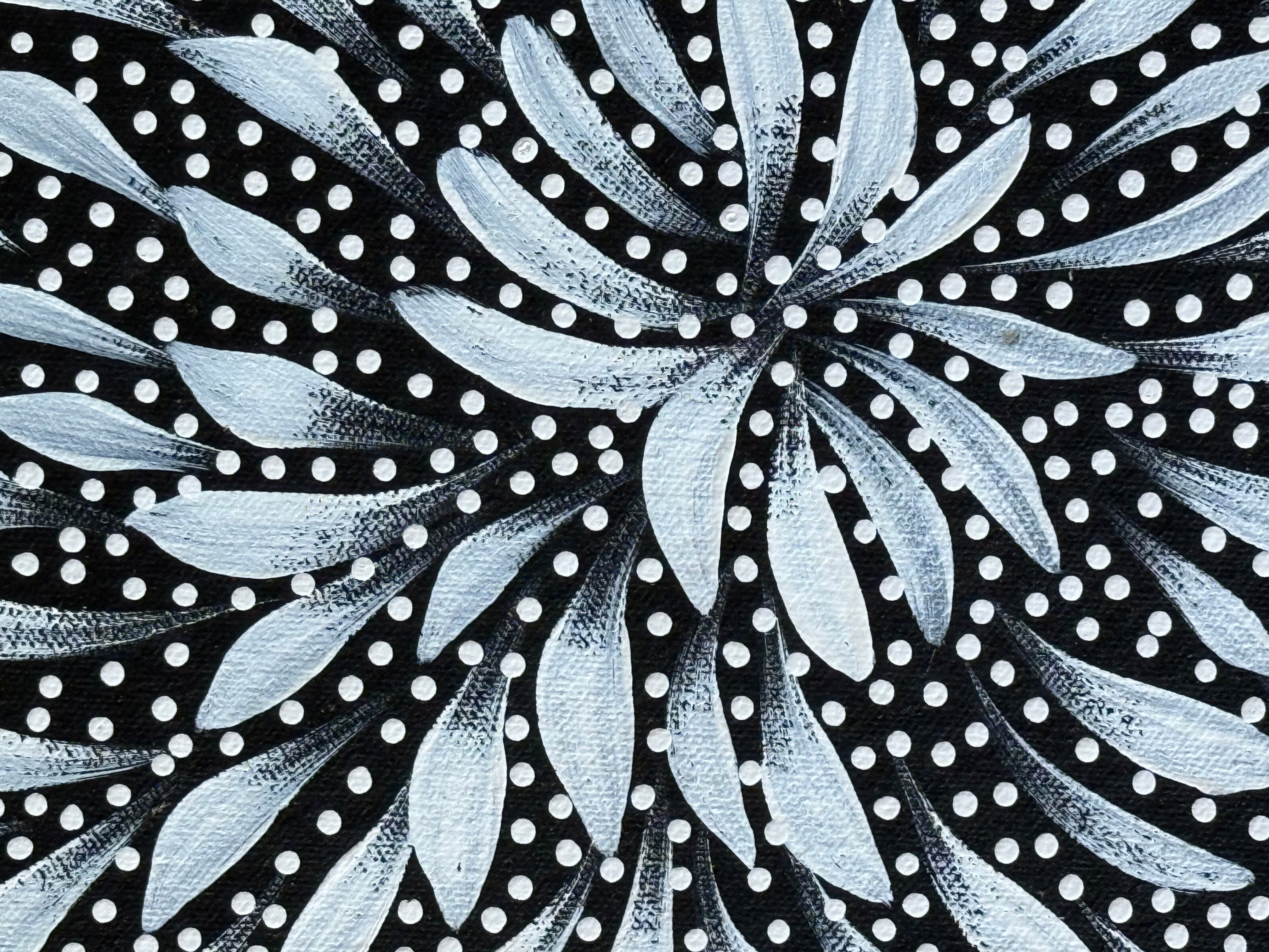 Caroline Numina - Seeded Bush Medicine Leaves .04-26