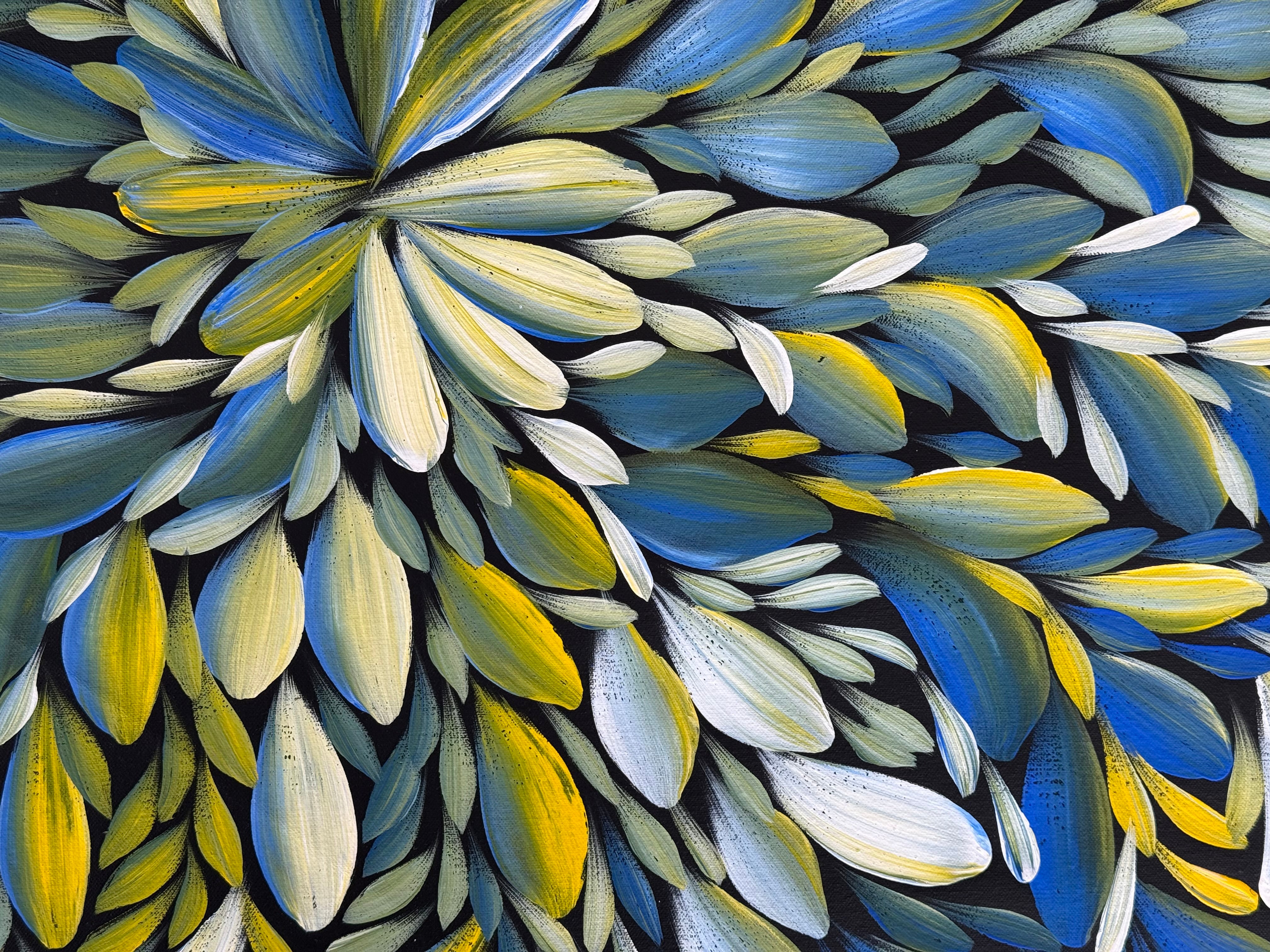 Louise Numina Napananka - Bush Medicine Leaves .75-8