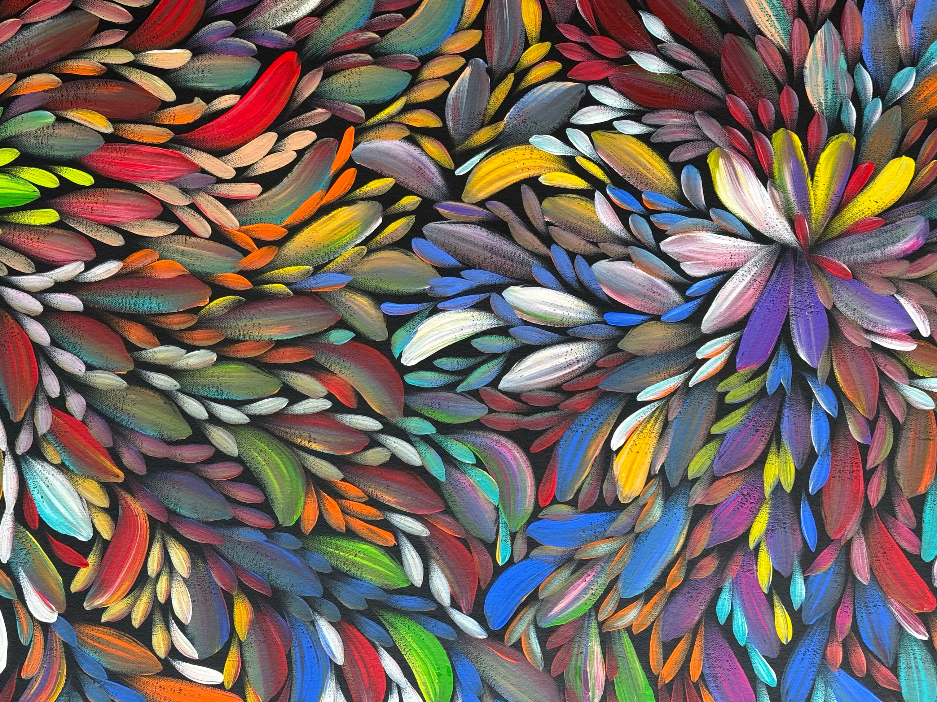 Louise Numina Napananka - Bush Medicine Leaves .41-23