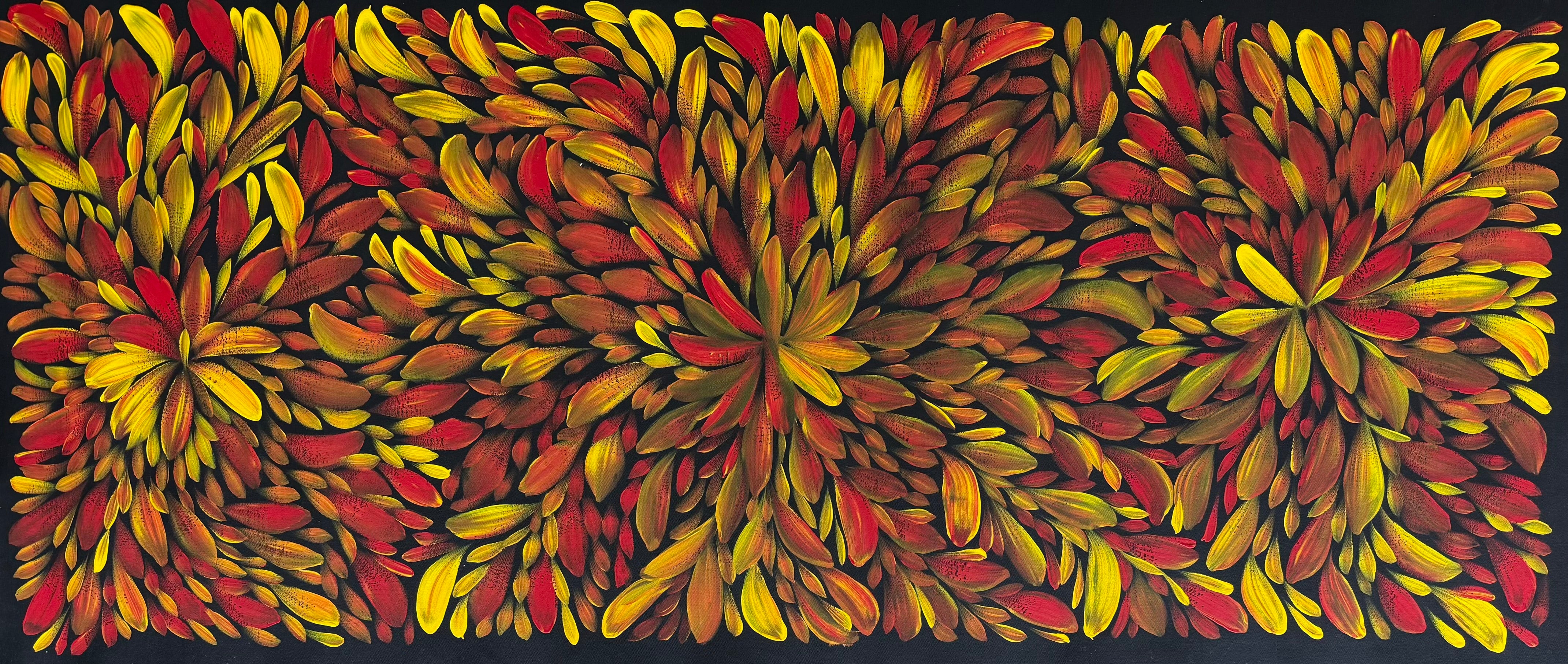 Louise Numina Napananka - Bush Medicine Leaves .57-56