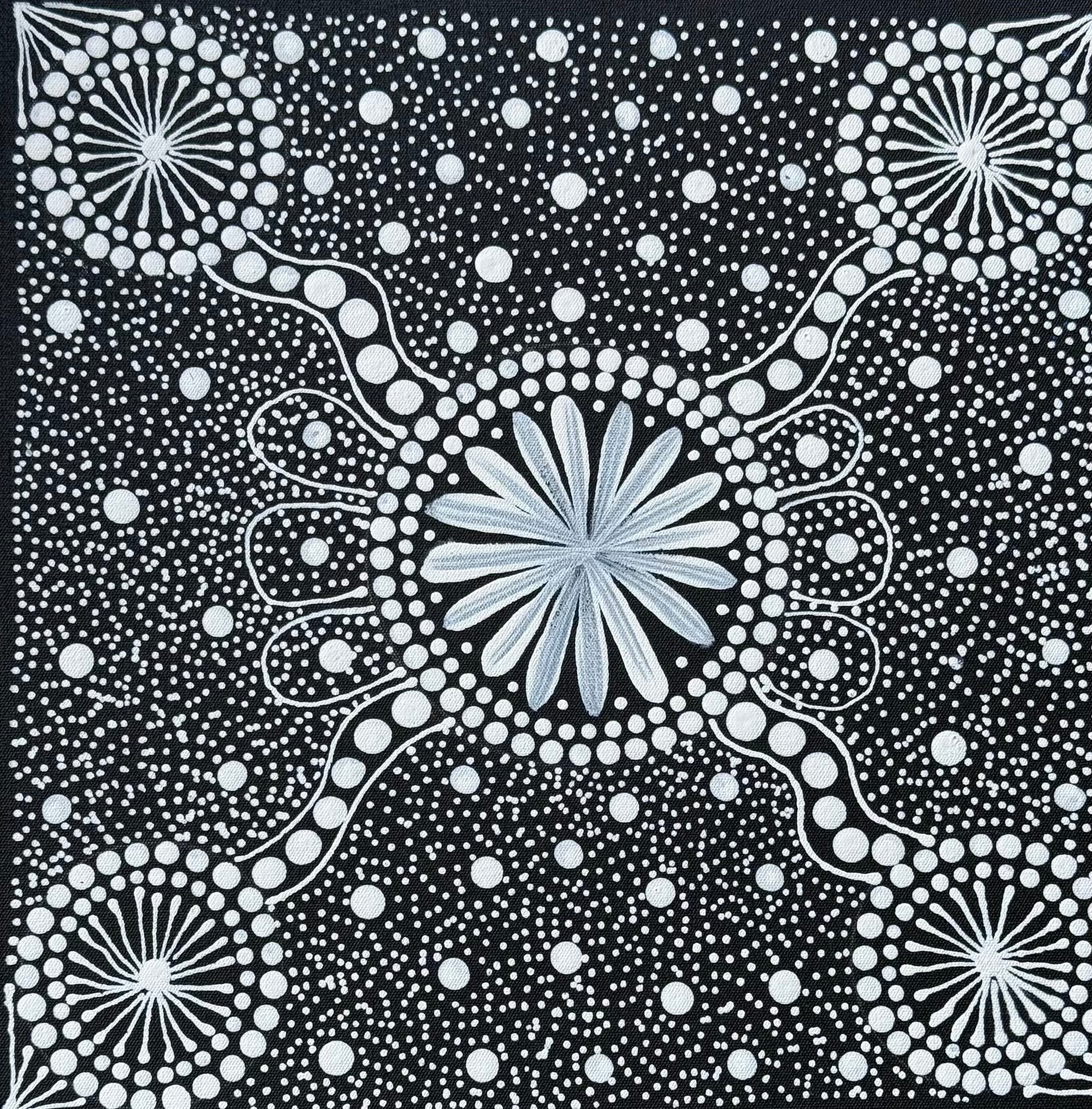 Maryanne Gibson - Bush Medicine, Bush Seeds .44-6