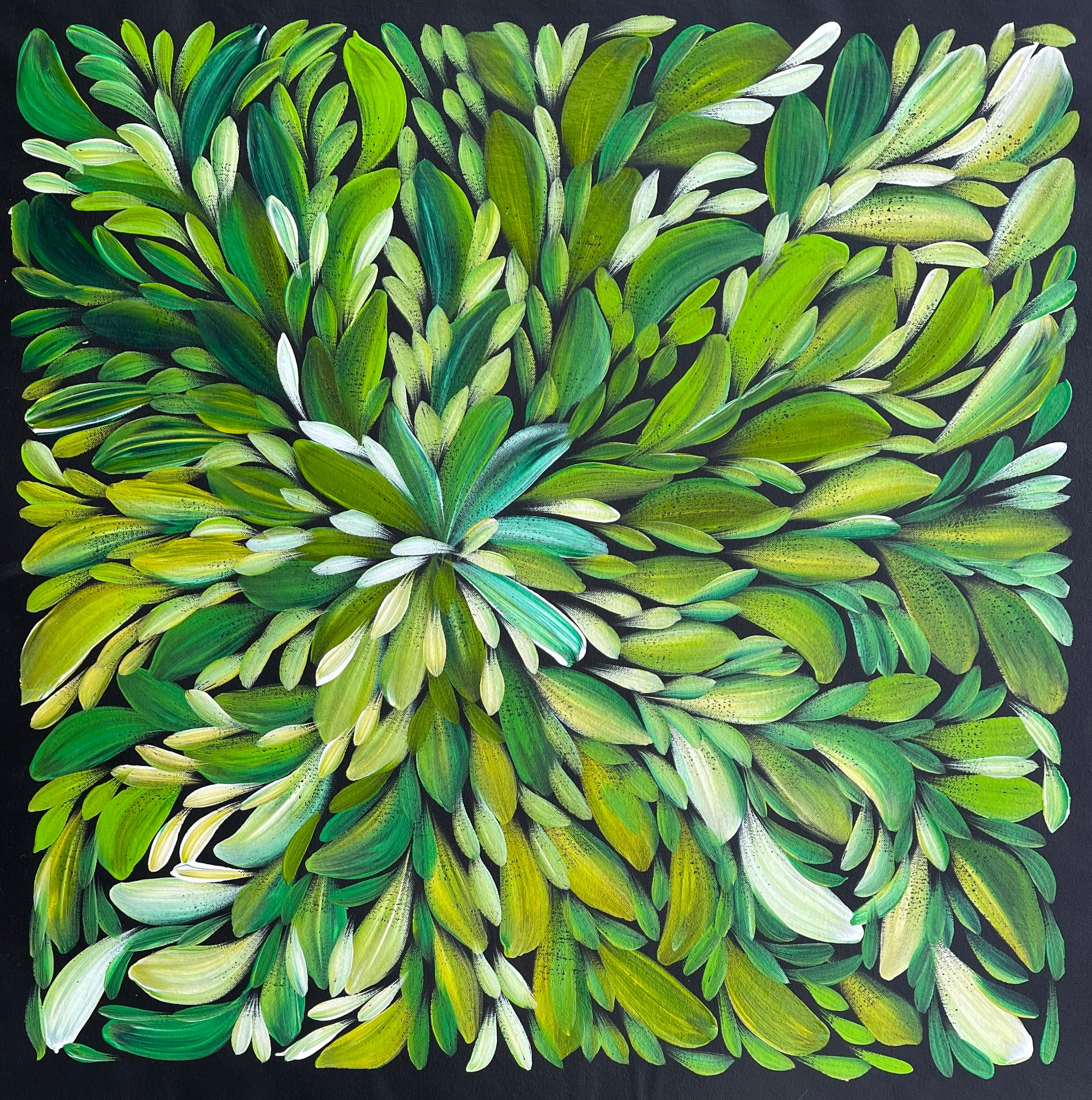 Louise Numina Napananka - Bush Medicine Leaves - 59x60cm .71-25