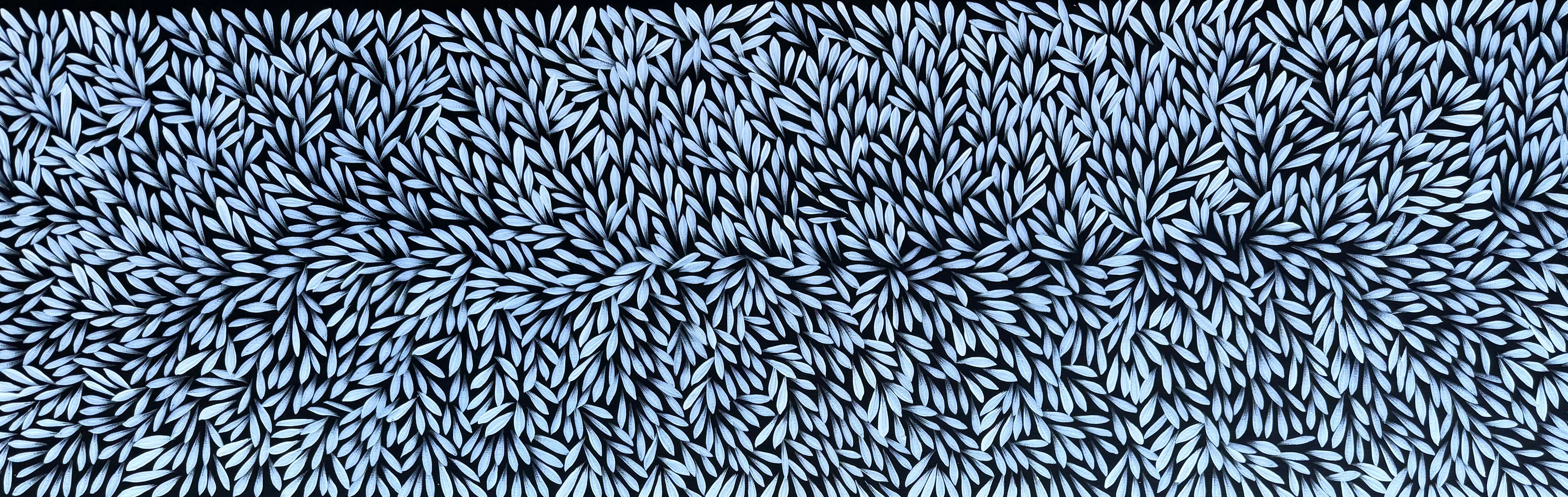 Sharon Numina - Bush Medicine Leaves .50-8