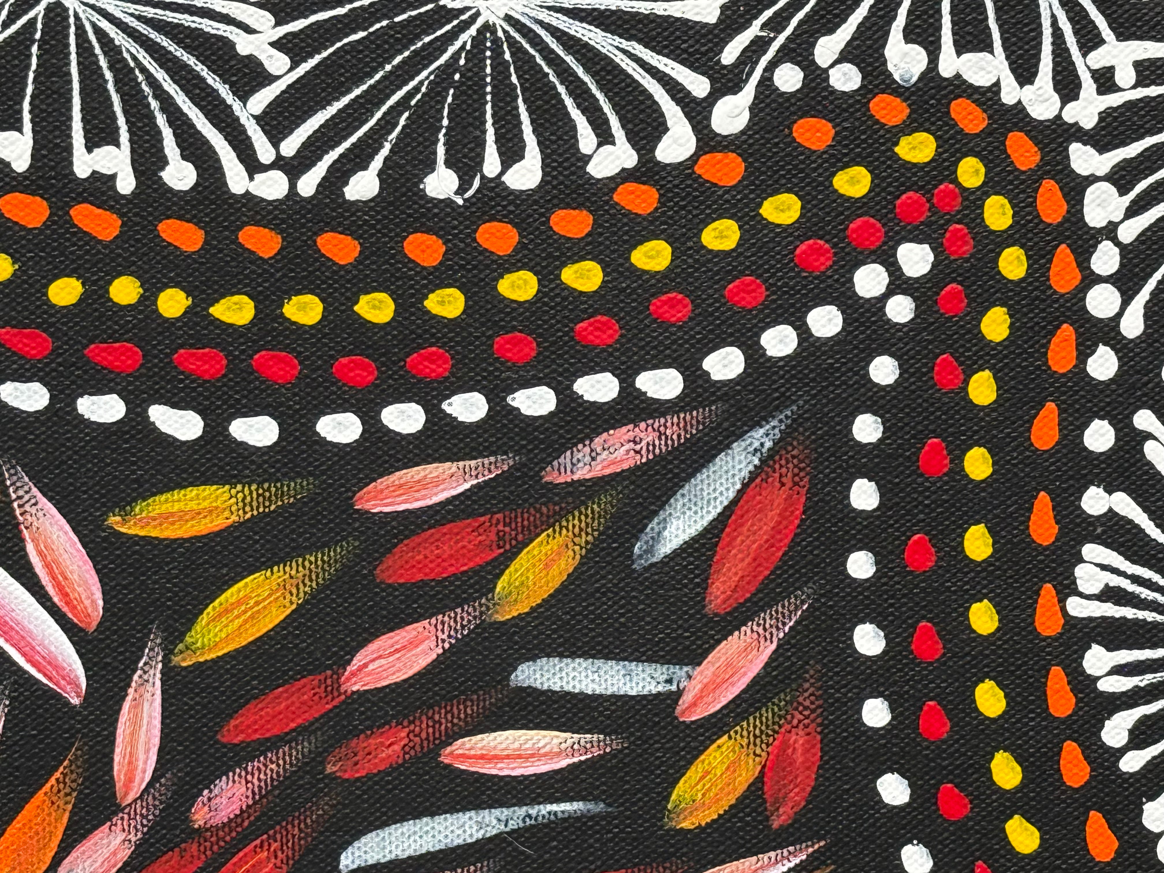 Selina Numina Kamprina - Seeds and Waterholes .92-5