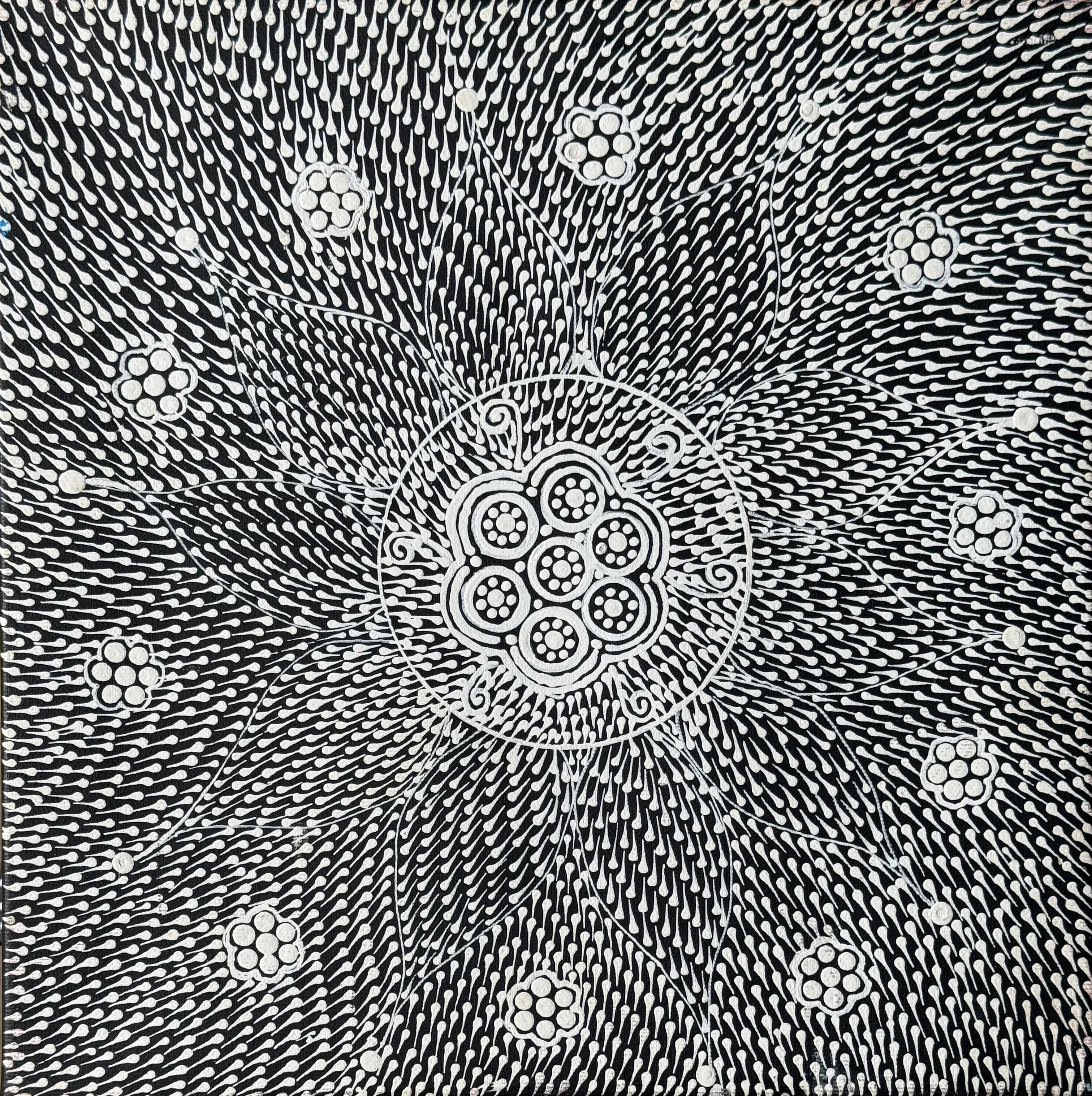 Annisah Nakamarra Leo - Nguru Yurntumu-wana (Country around Yuendumu) - Stretched