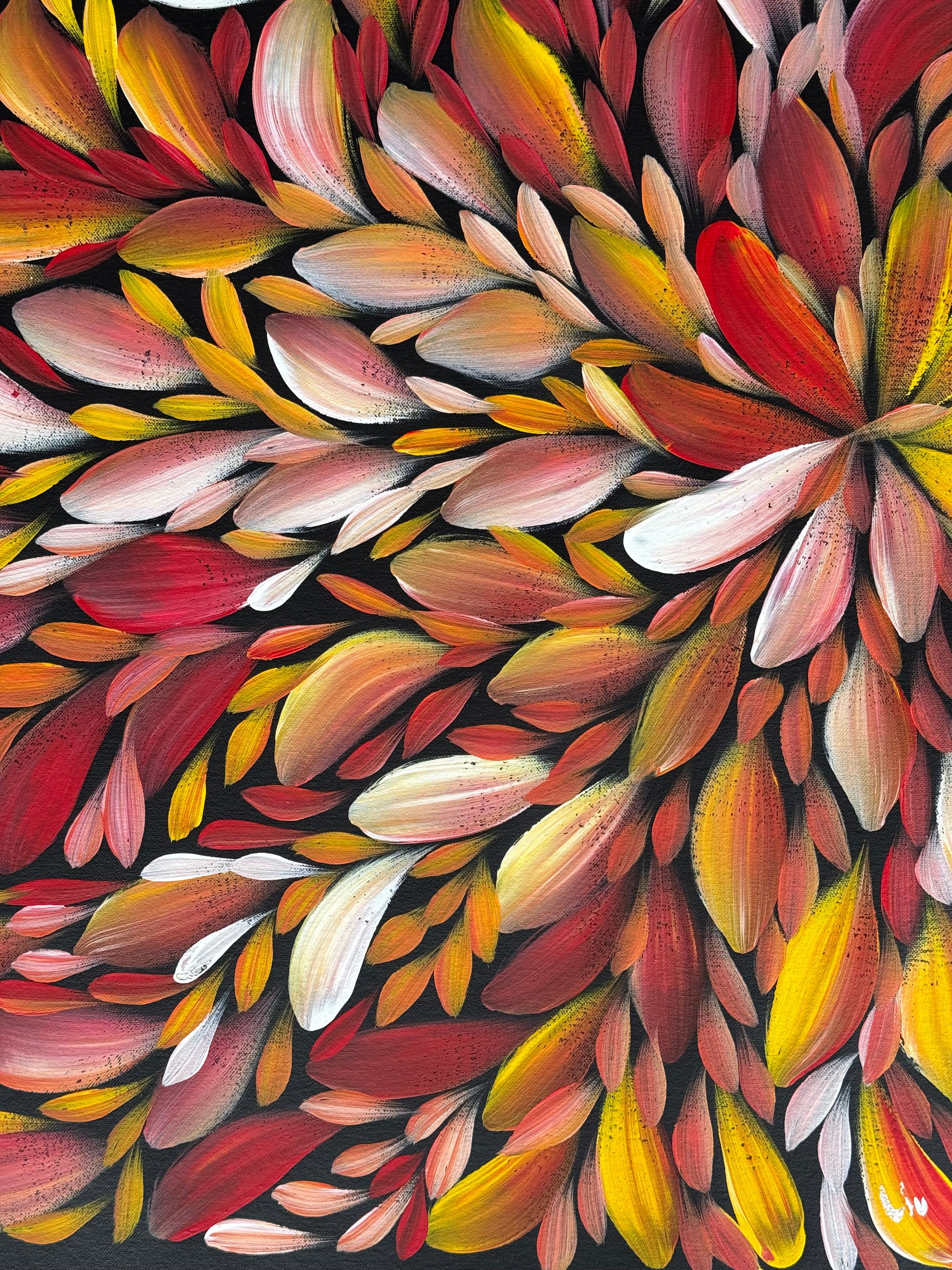 Louise Numina Napananka - Bush Medicine Leaves .75-17