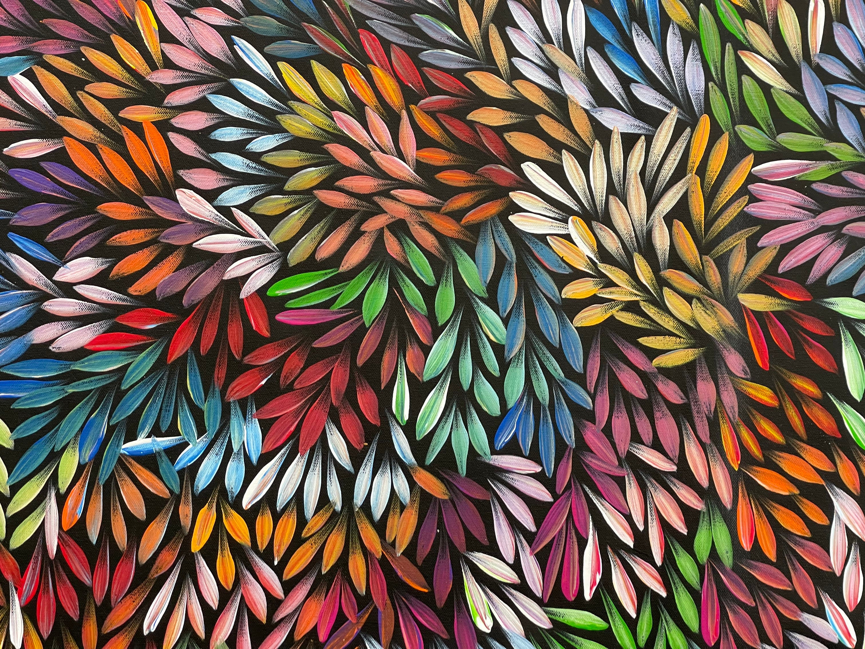 Sharon Numina - Bush Medicine Leaves - 153x95cm .55-26