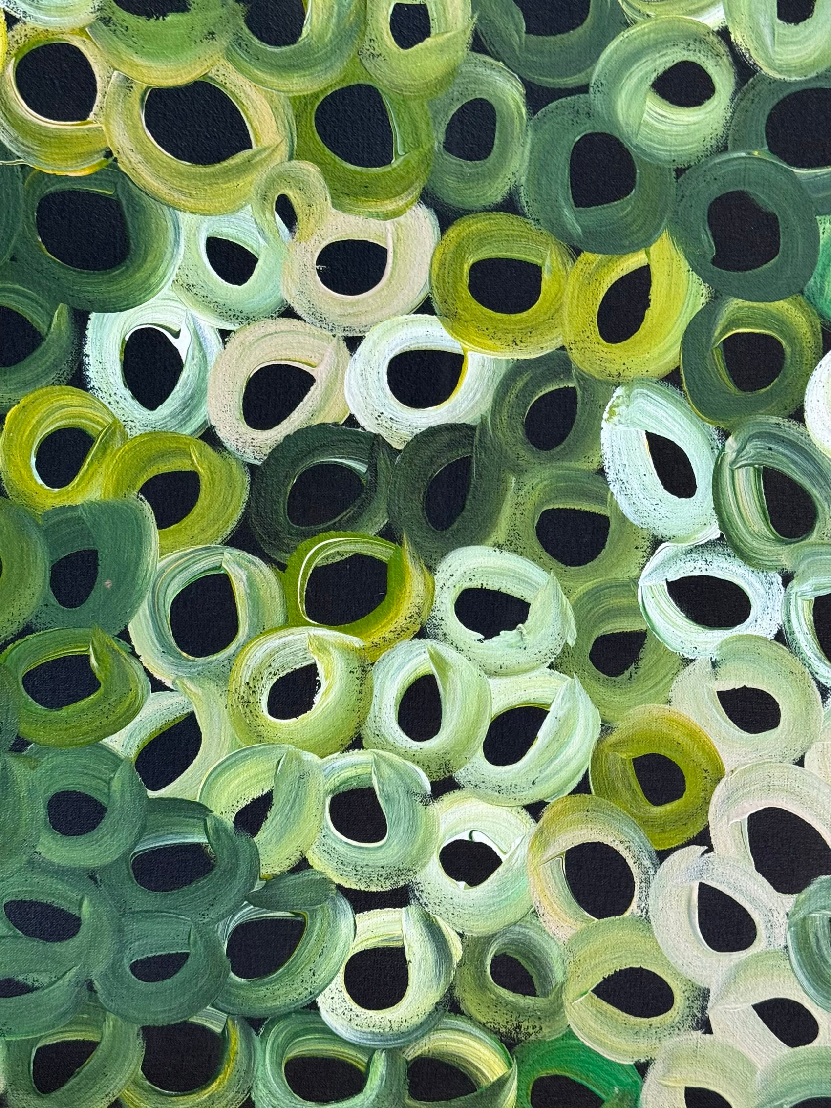 Louise Numina Napananka - Bush Melons .42-41
