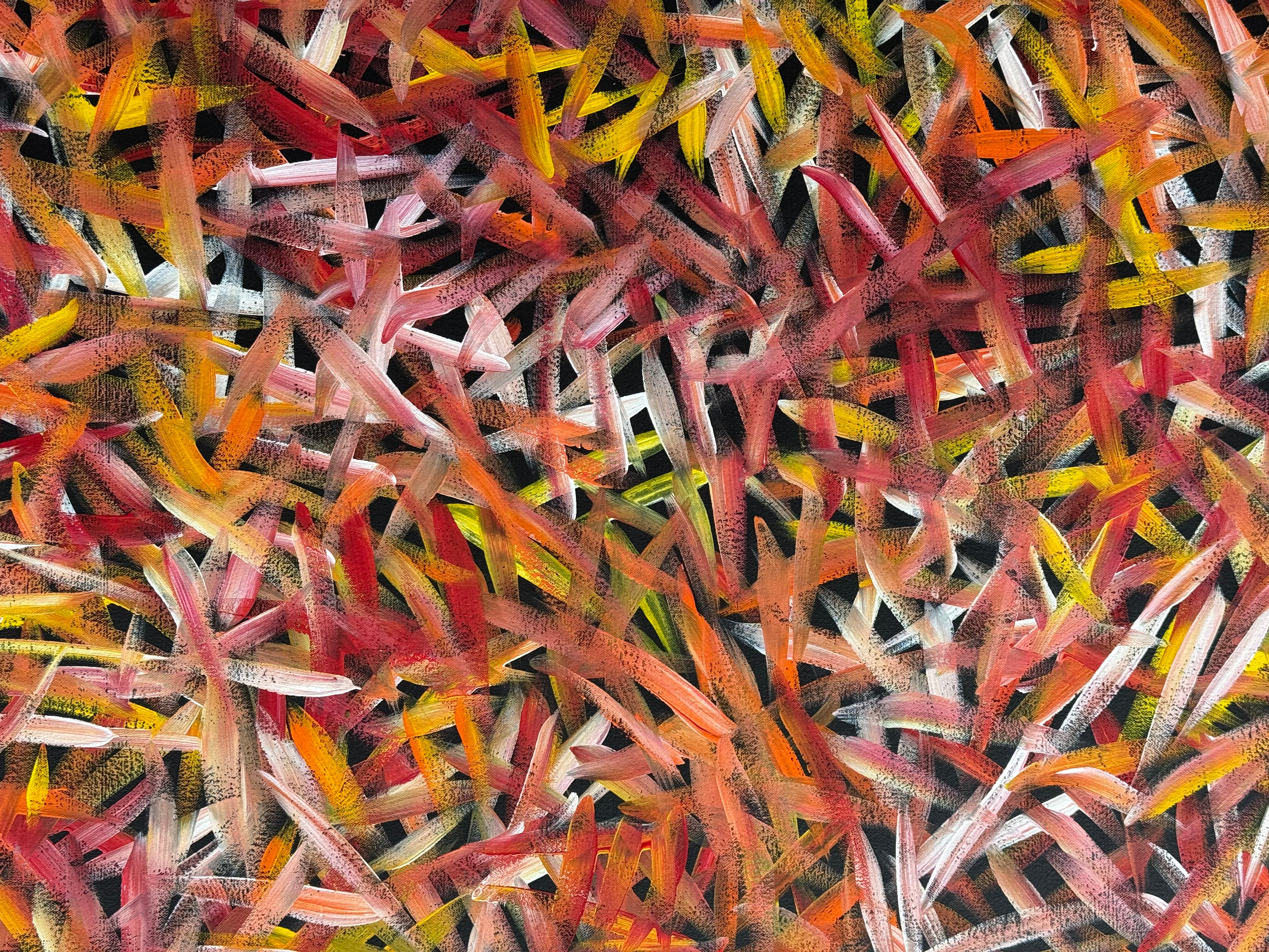 Louise Numina - Spinifex Grass .90-4