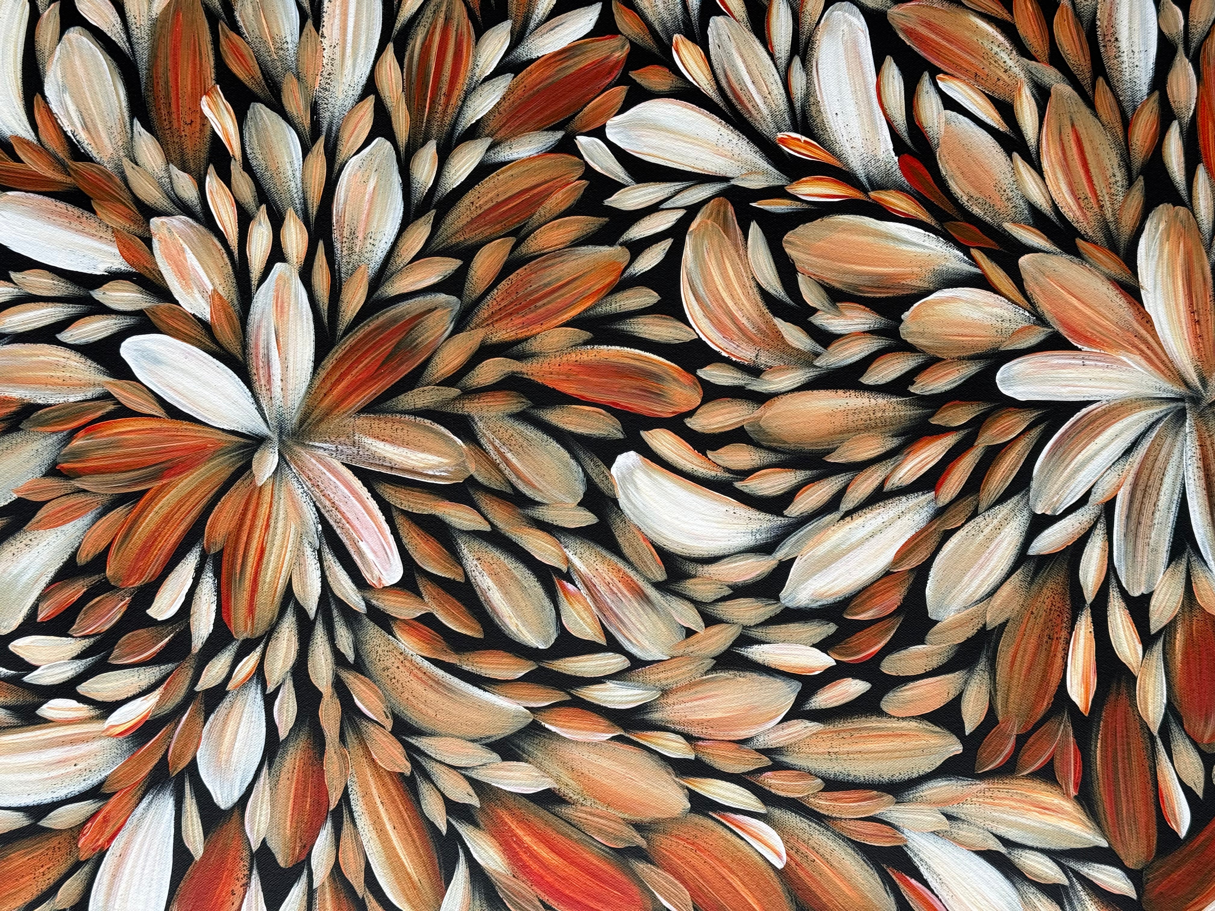 Louise Numina Napananka - Bush Medicine Leaves .16-74