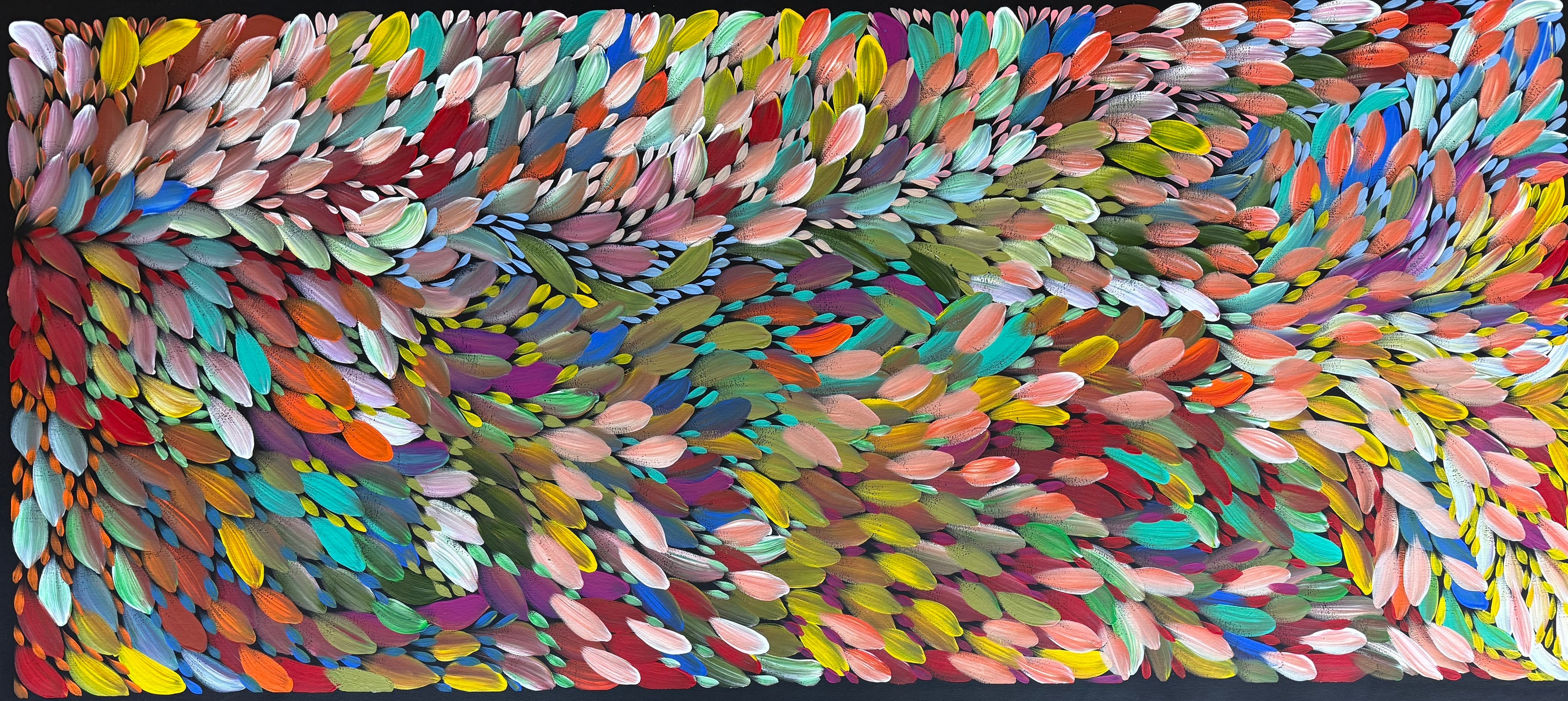 Louise Numina Napananka - Bush Medicine Leaves .41-24