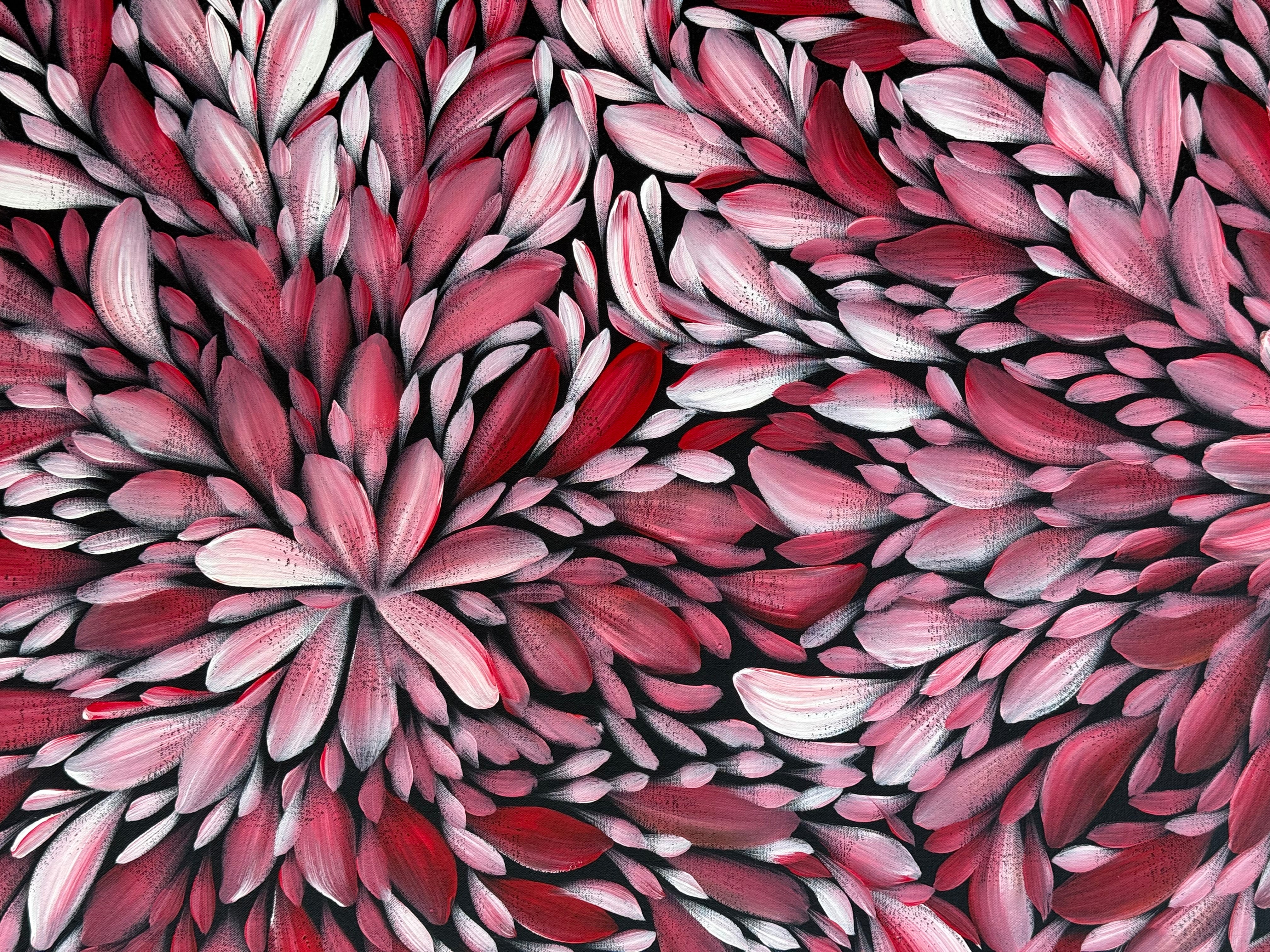 Louise Numina Napananka - Bush Medicine Leaves .57-48