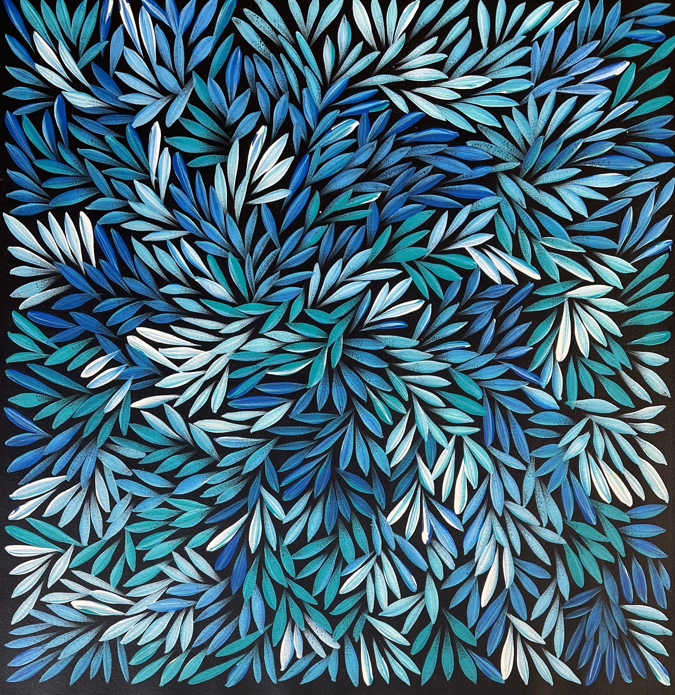 Sharon Numina - Bush Medicine Leaves - 59x60cm .92-2