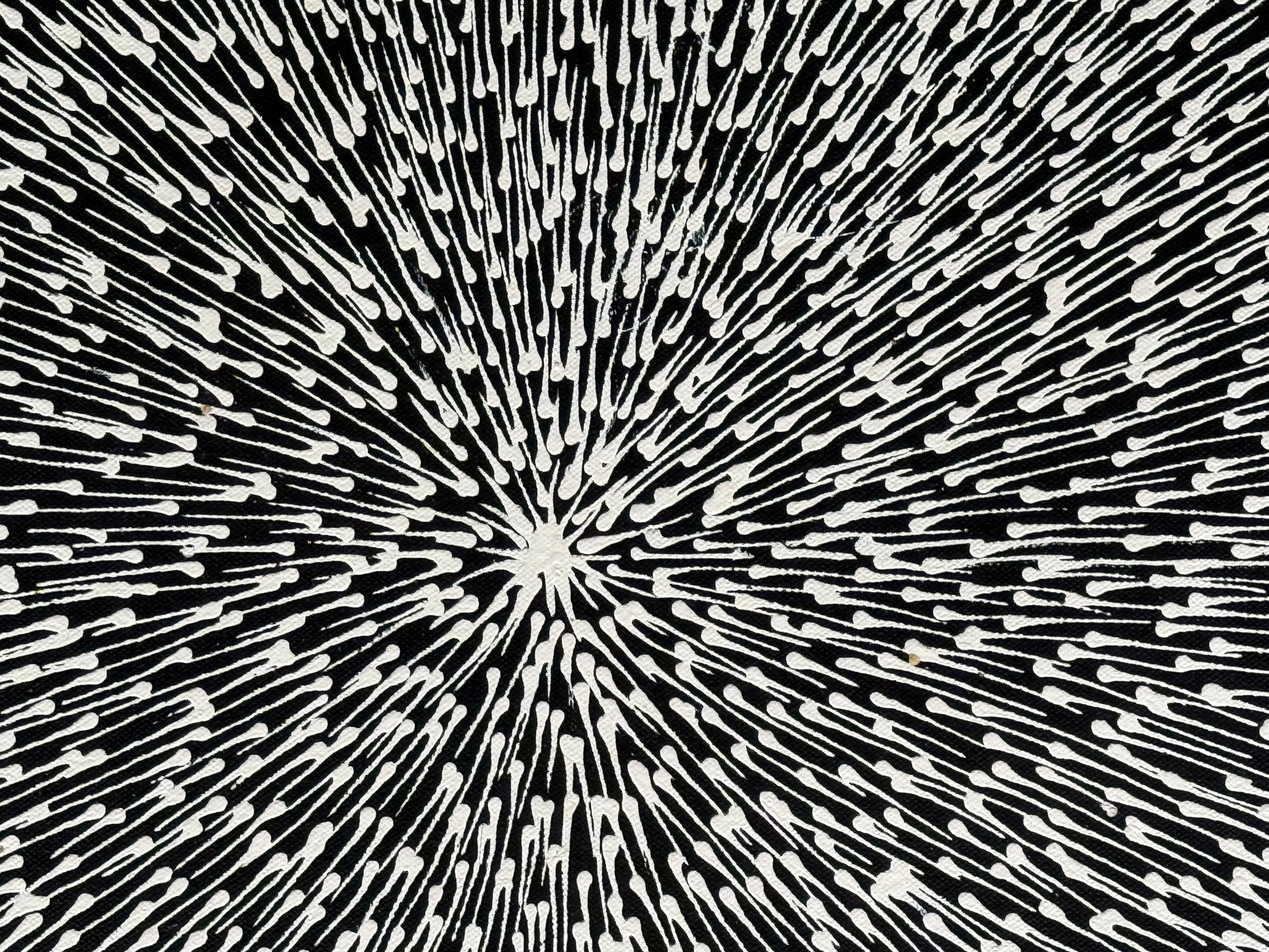Sharon Numina - Bush Medicine Seeds .14-9
