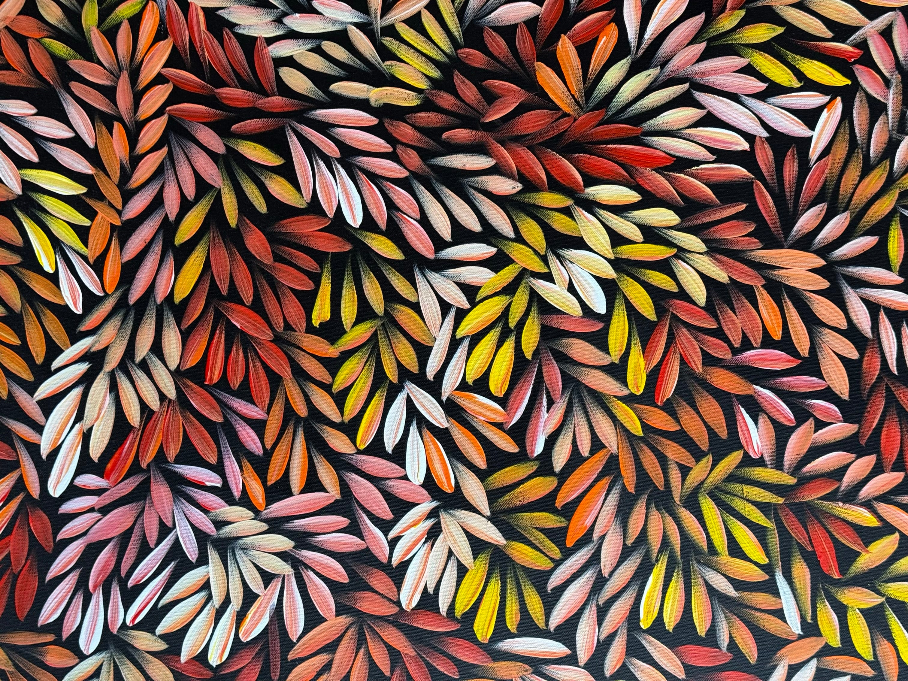 Sharon Numina - Bush Medicine Leaves .50-5