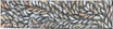 Selina Numina Kamprina - Bush Medicine Leaves .38-2