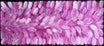 Louise Numina Napananka - Bush Medicine Leaves .51-17