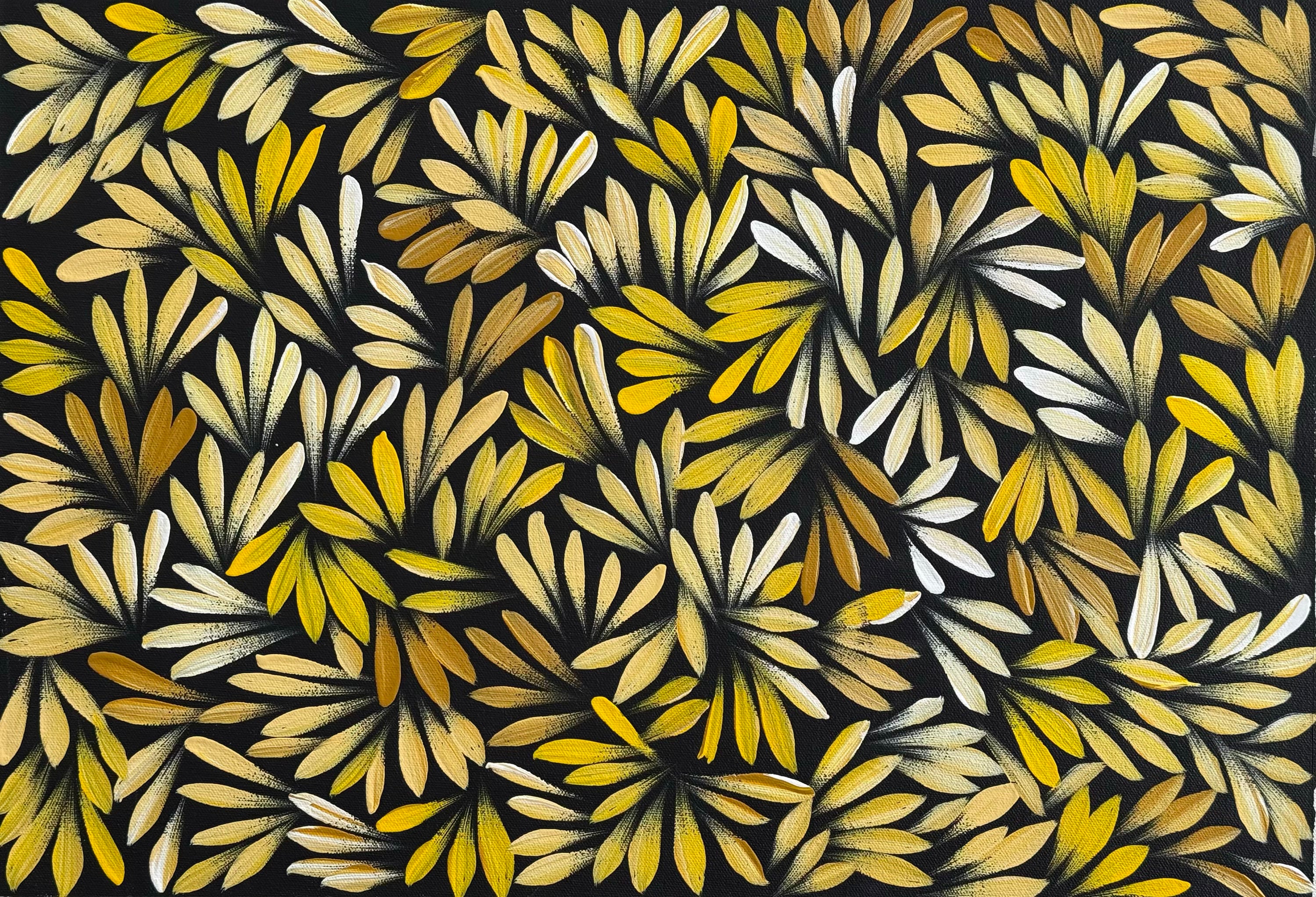 Louise Numina Napananka - Bush Medicine Leaves .62-10