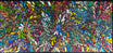 Louise Numina Napananka - Bush Medicine Leaves .41-16