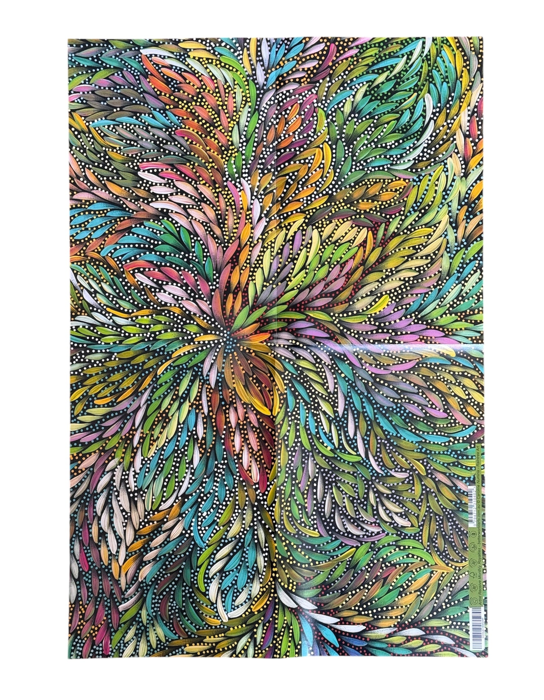 Wrapping Paper - Caroline Numina