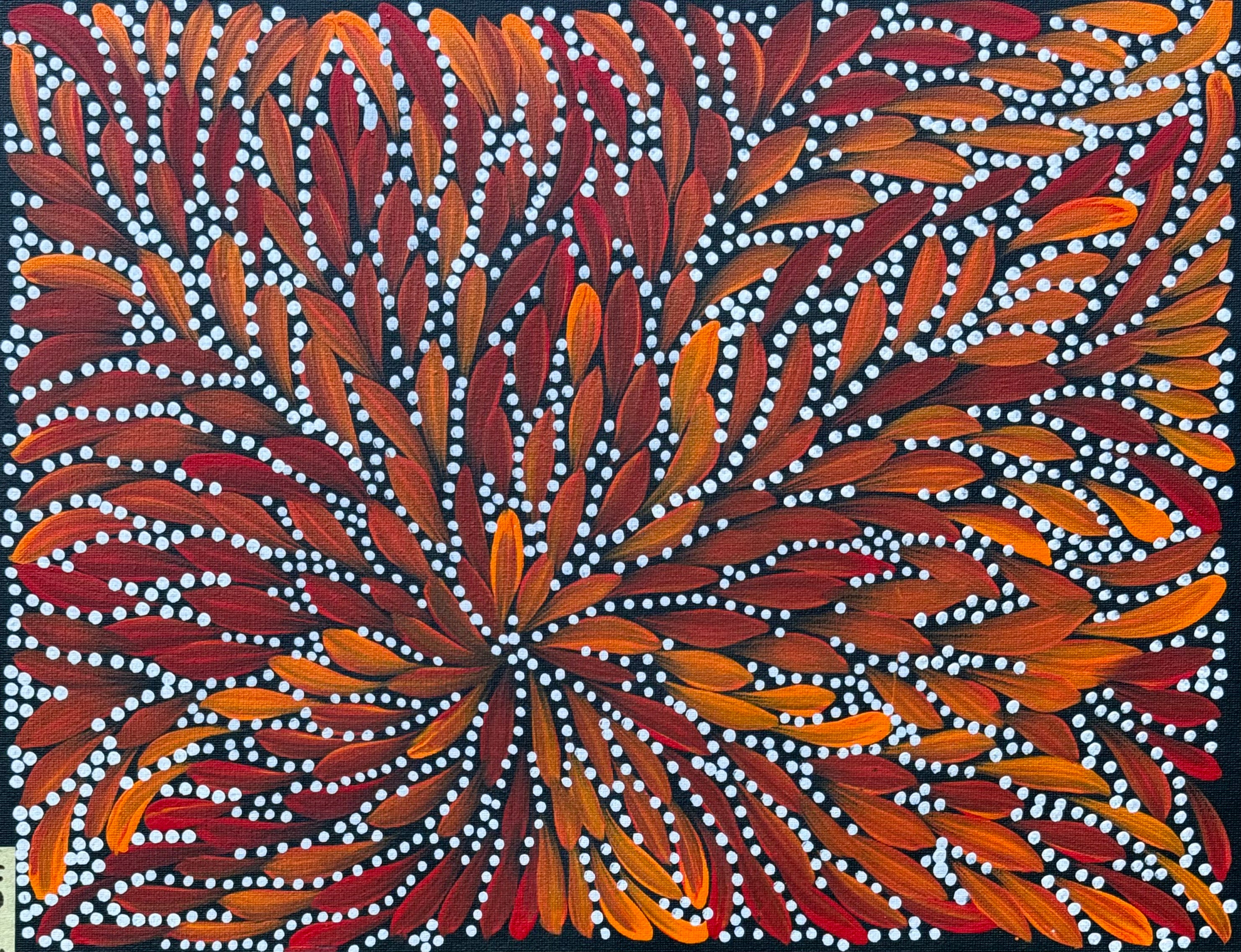 Caroline Numina - Bush Medicine Leaves and Seeds - 33x43cm .73-9