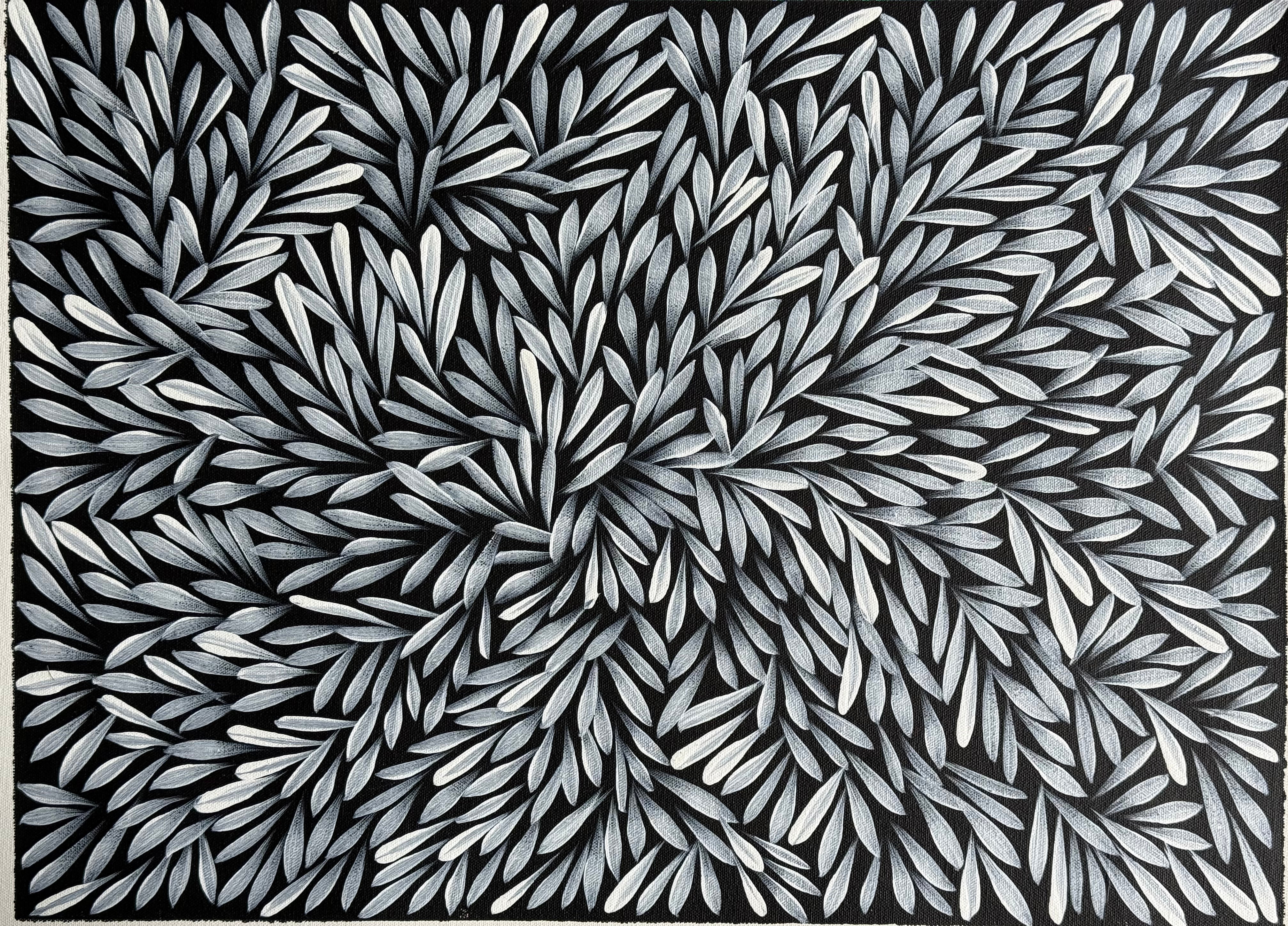 Sharon Numina - Bush Medicine Leaves .14-1
