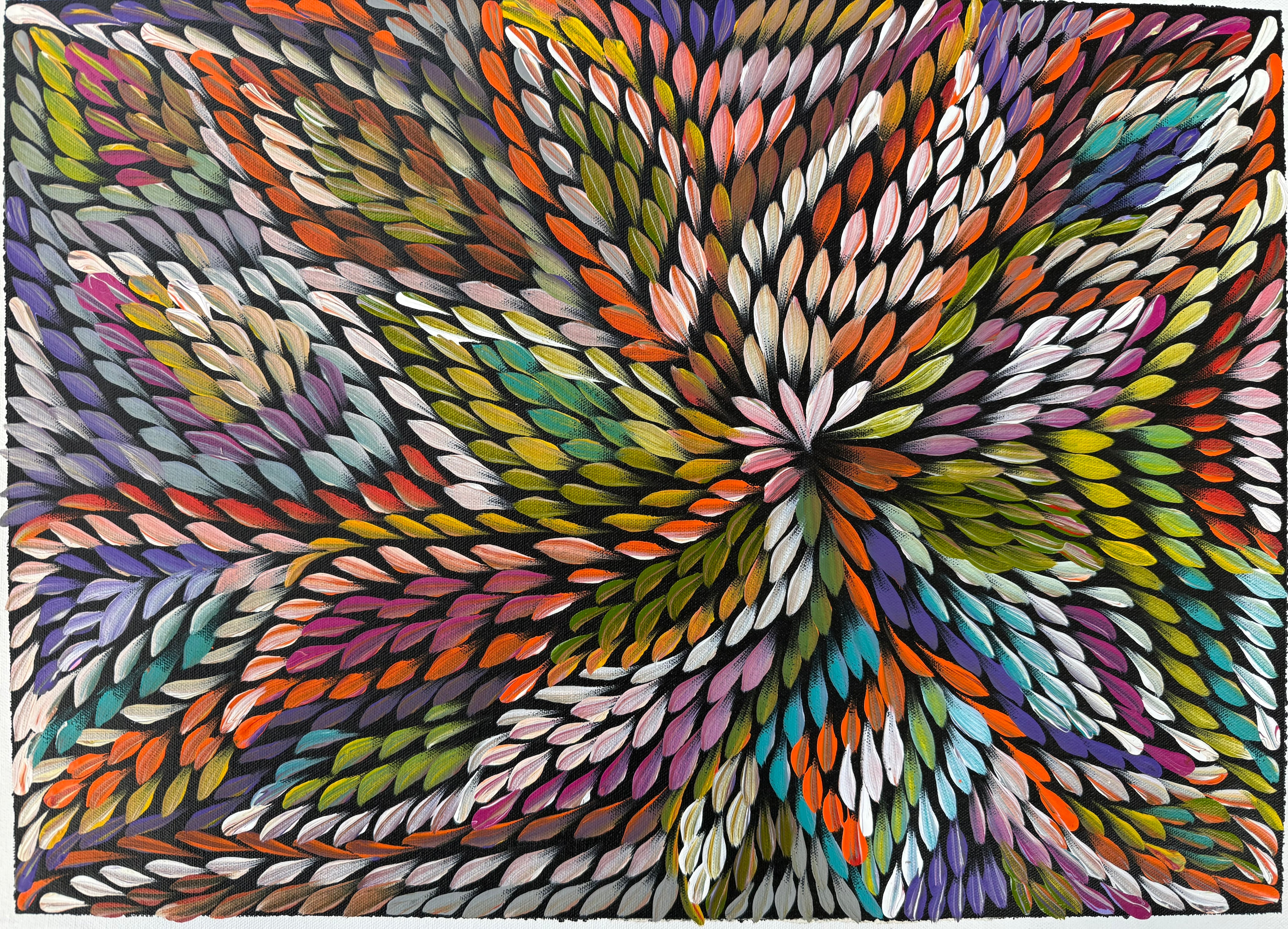 Caroline Numina - Bush Medicine Leaves .17-5