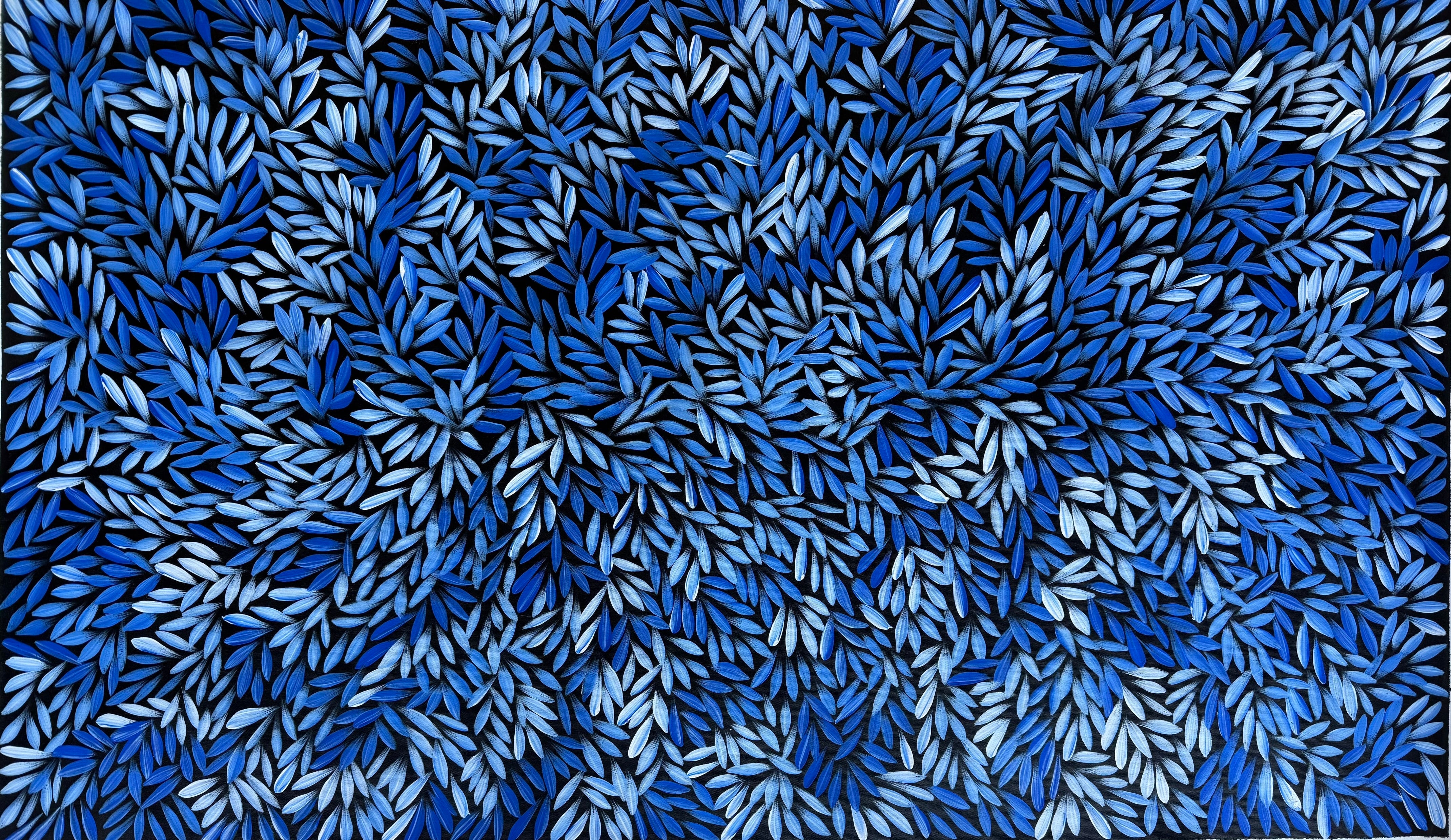 Sharon Numina - Bush Medicine Leaves .40-3