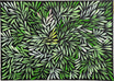 Sharon Numina - Bush Medicine Leaves .14-41
