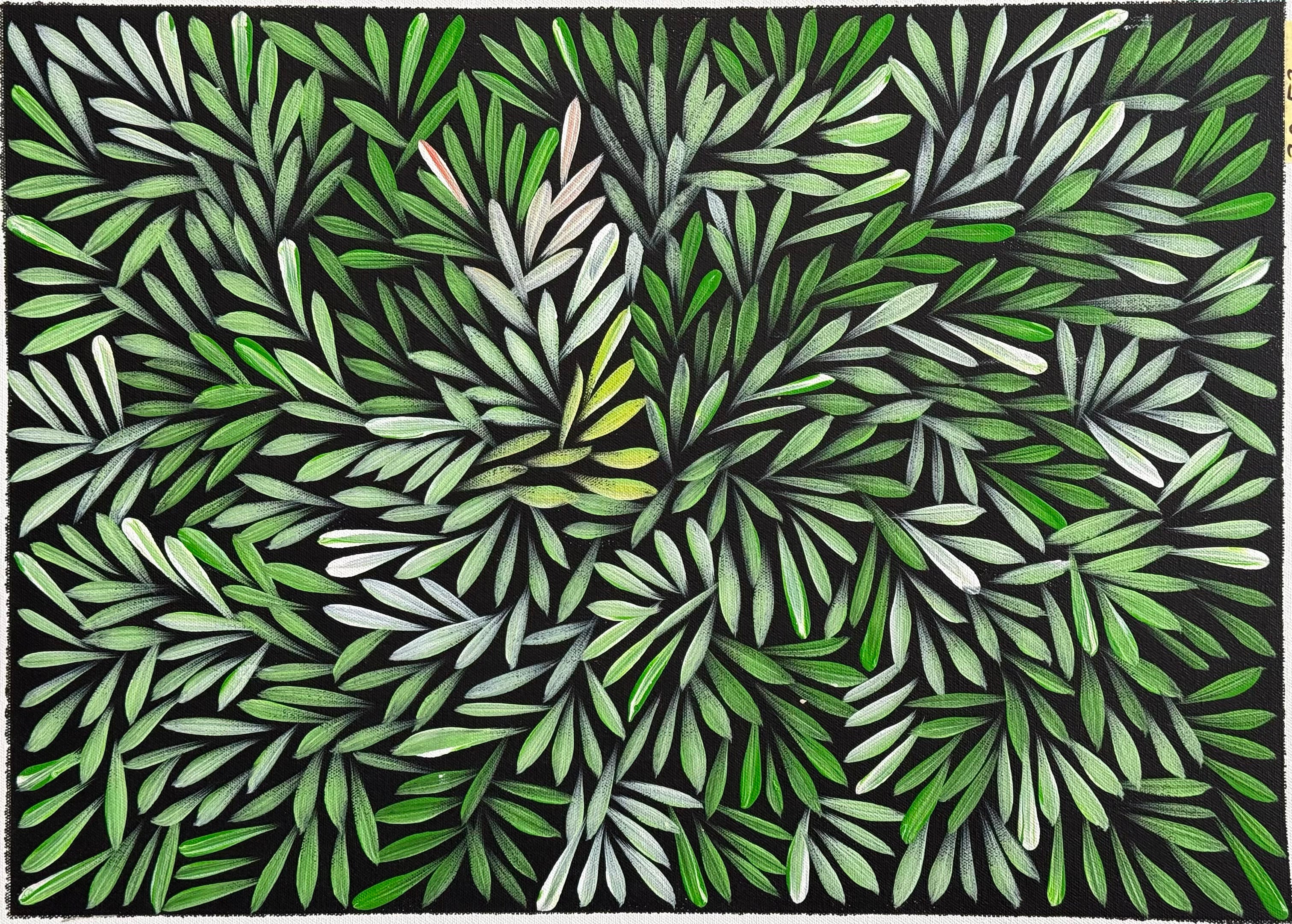Sharon Numina - Bush Medicine Leaves .14-41