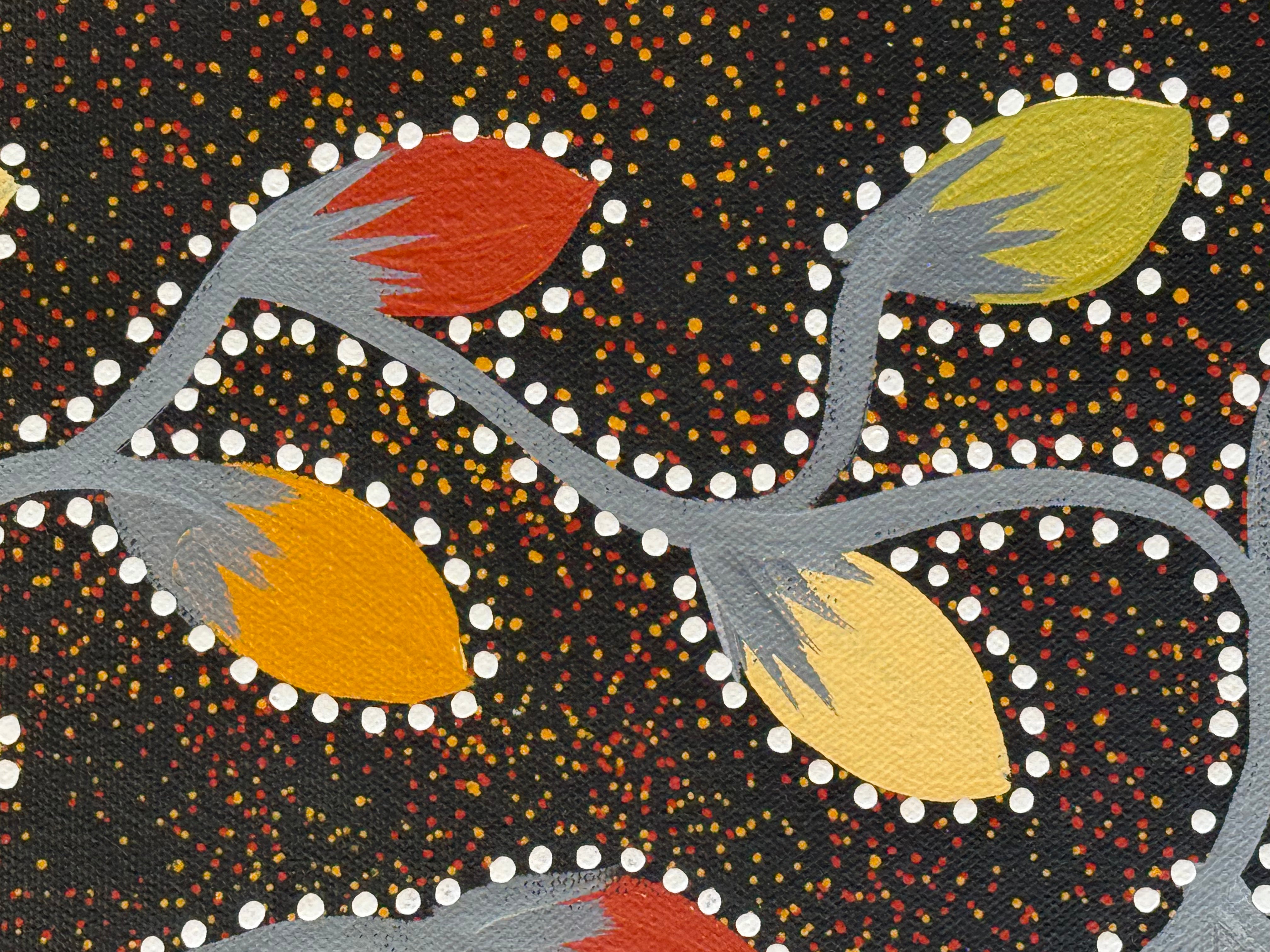 Jacinta Numina Waugh - Bush Tomatoes .12-17