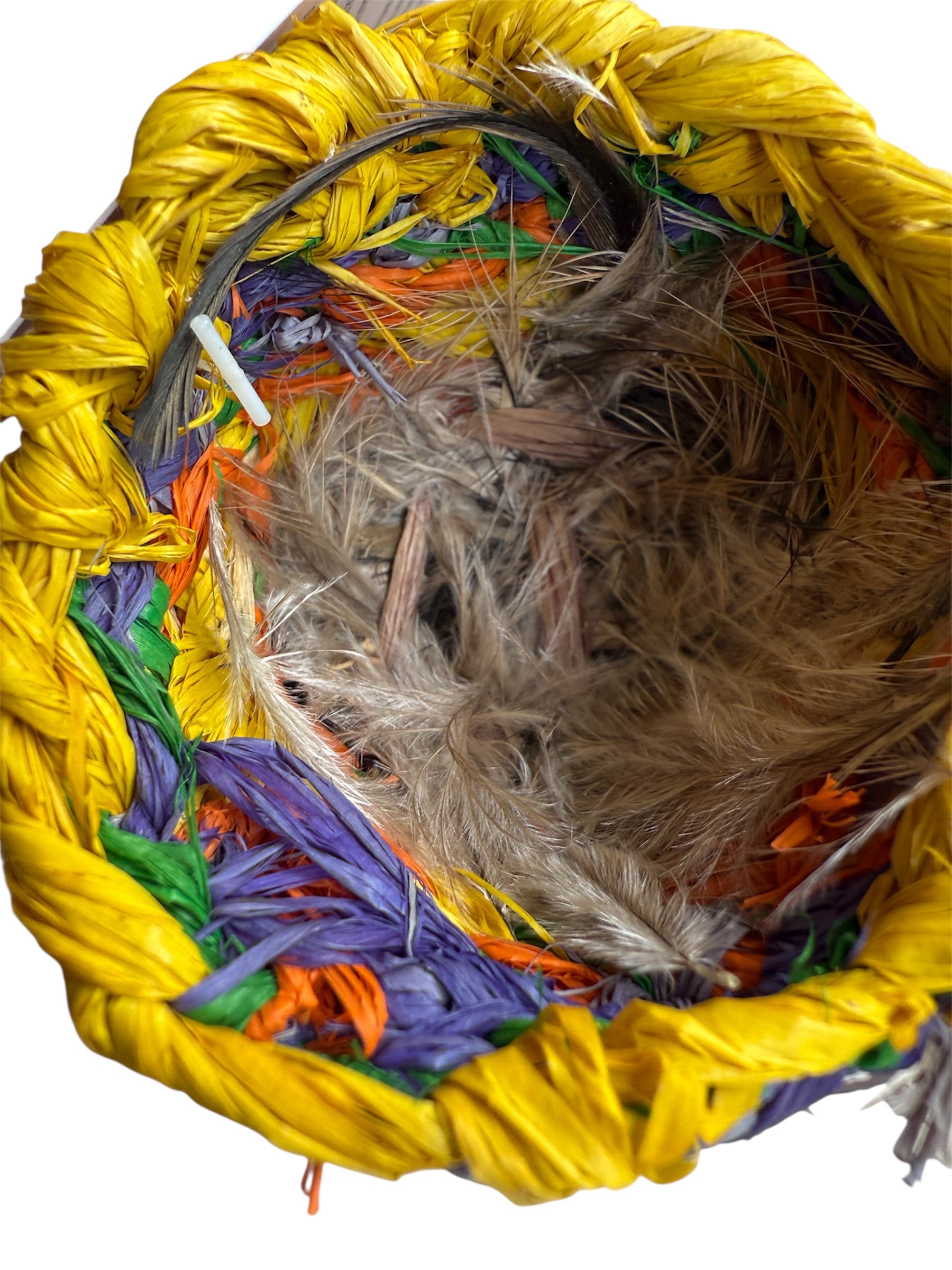 Basket - Verena Enalanga