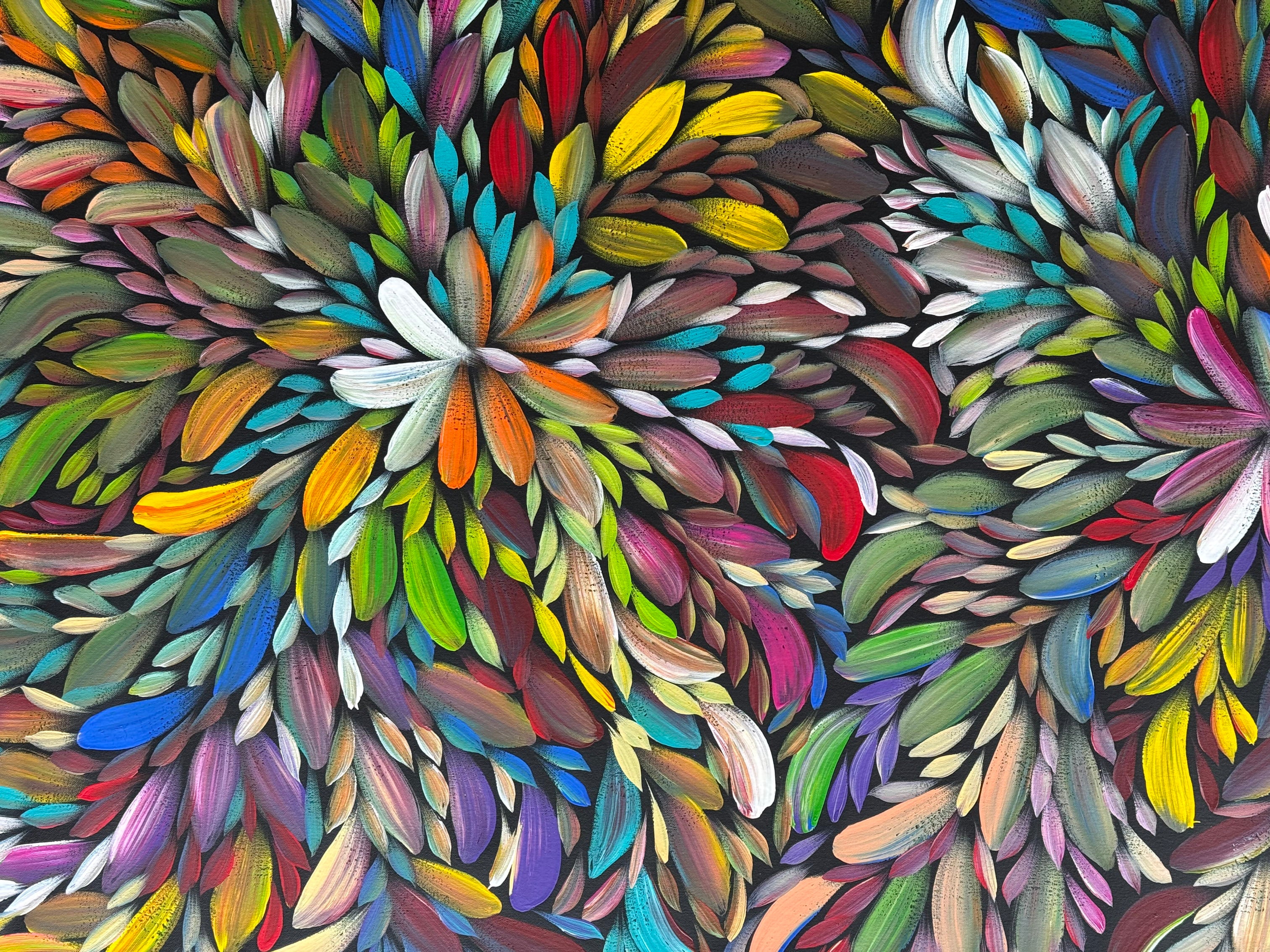 Louise Numina Napananka - Bush Medicine Leaves .41-16