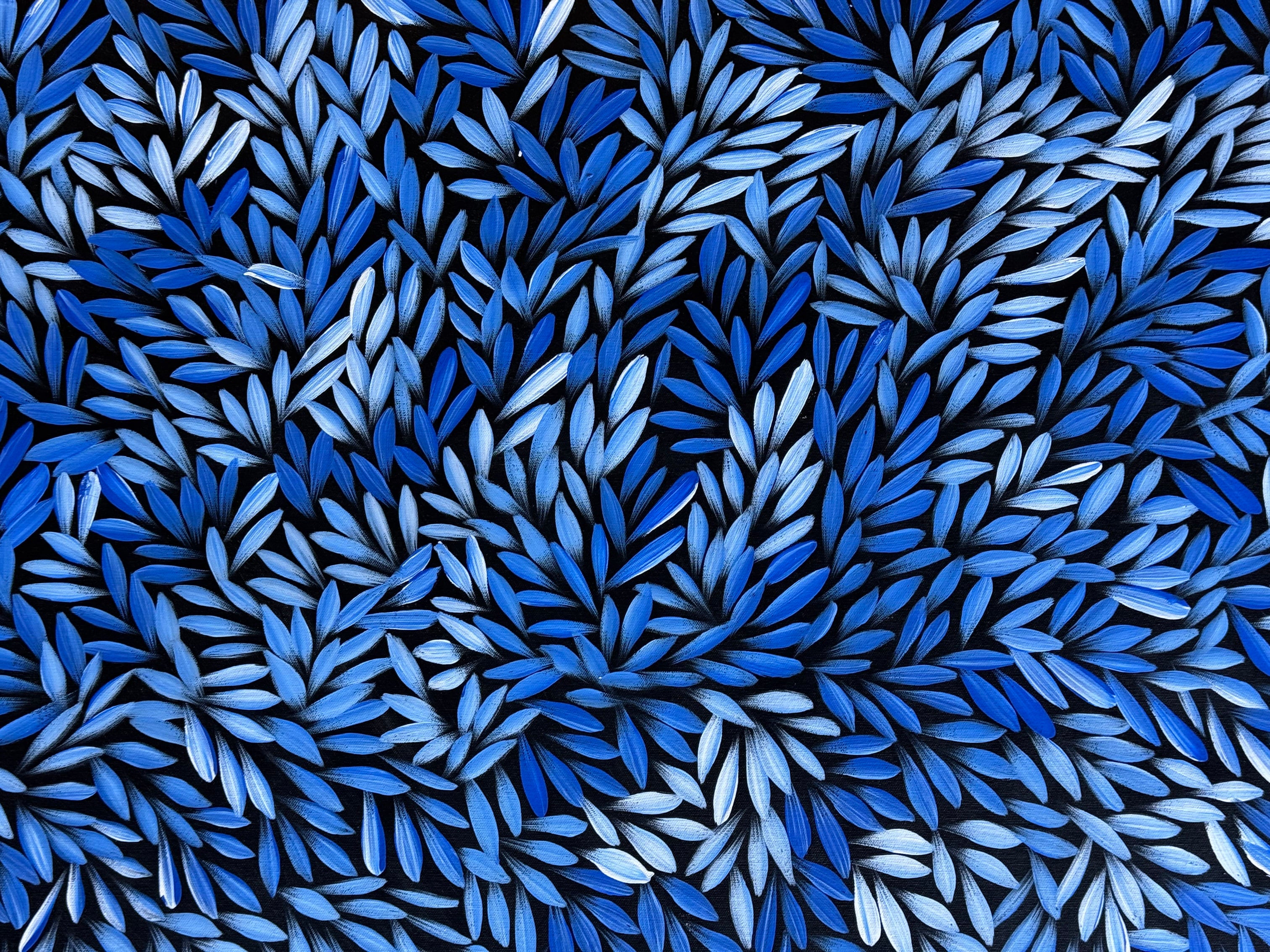 Sharon Numina - Bush Medicine Leaves .40-3