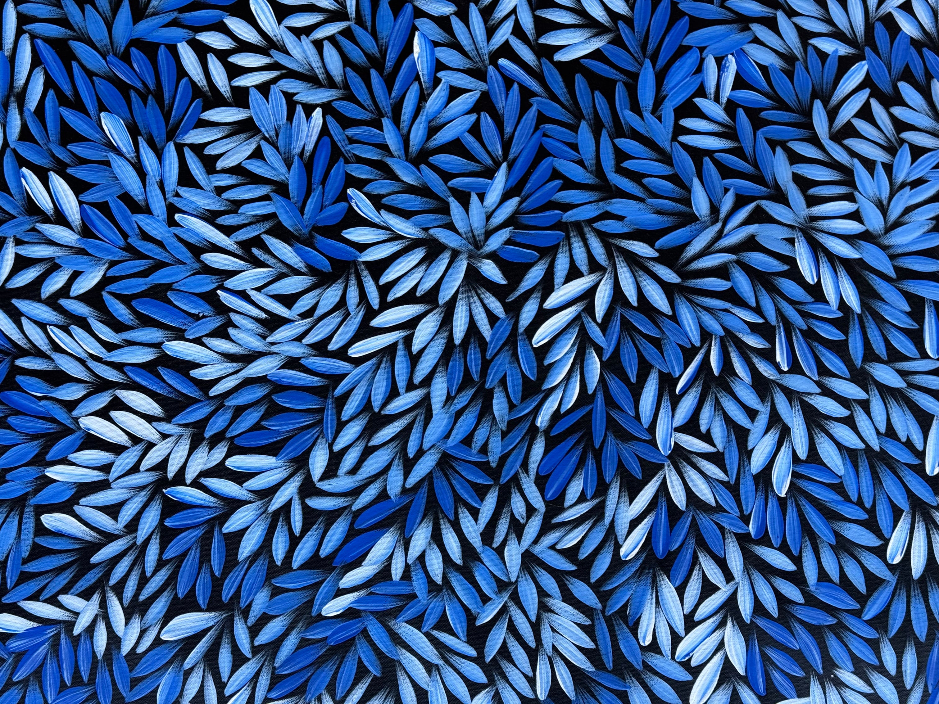 Sharon Numina - Bush Medicine Leaves .40-3
