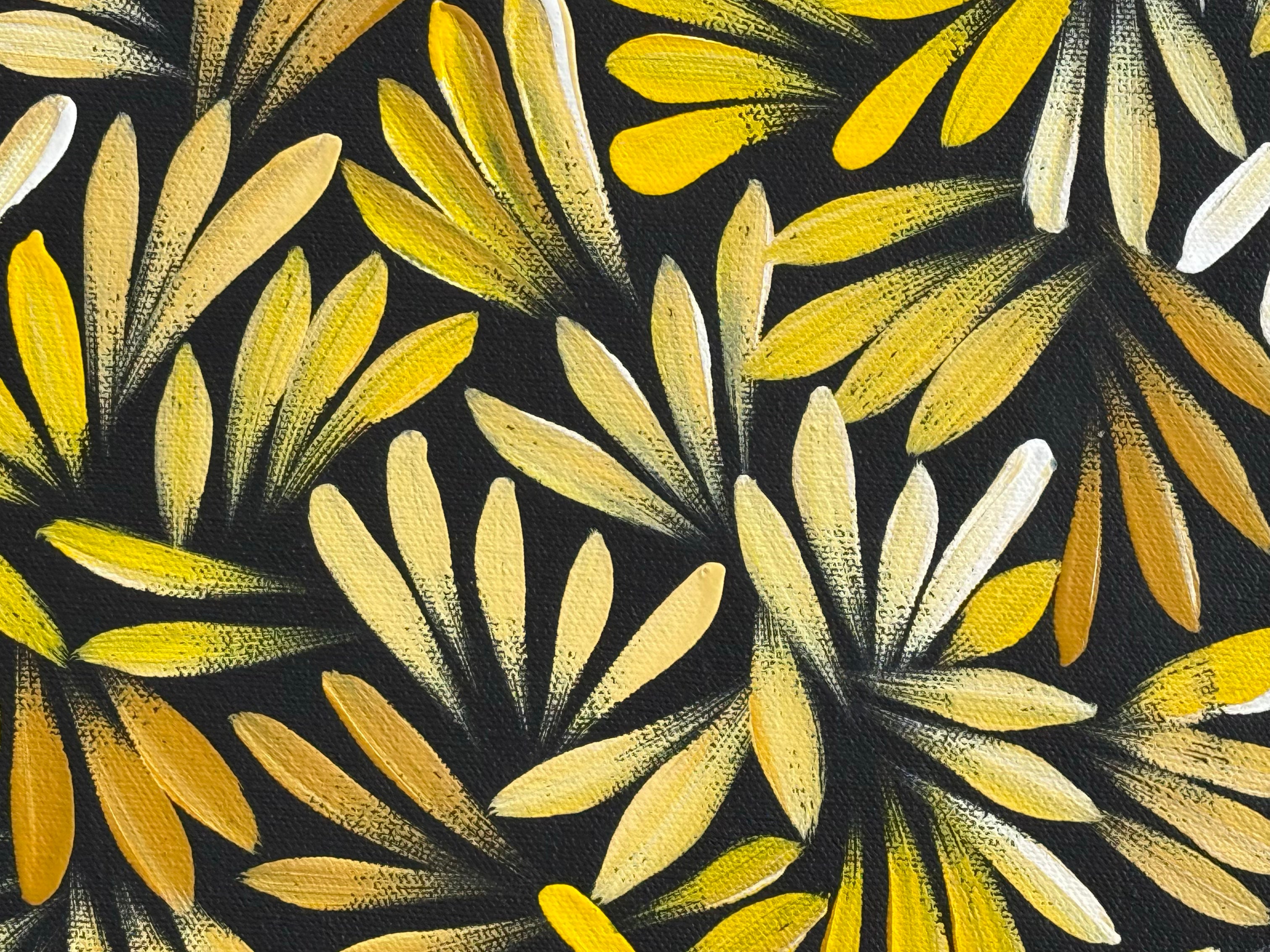 Louise Numina Napananka - Bush Medicine Leaves .62-10