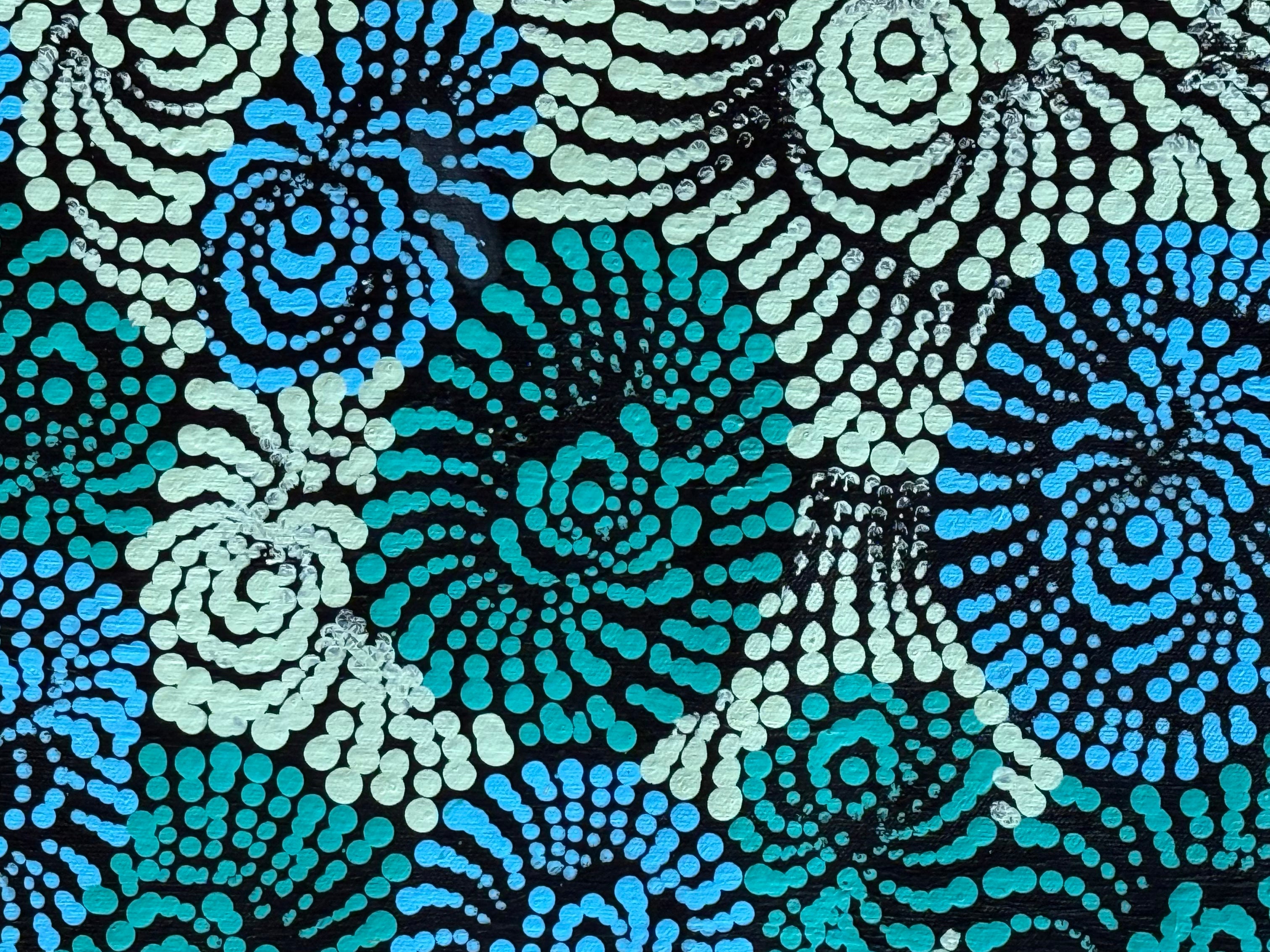 Maria Nampijinpa Brown - Flying Ants Dreaming (Pamapardu Jukurrpa) .48-5